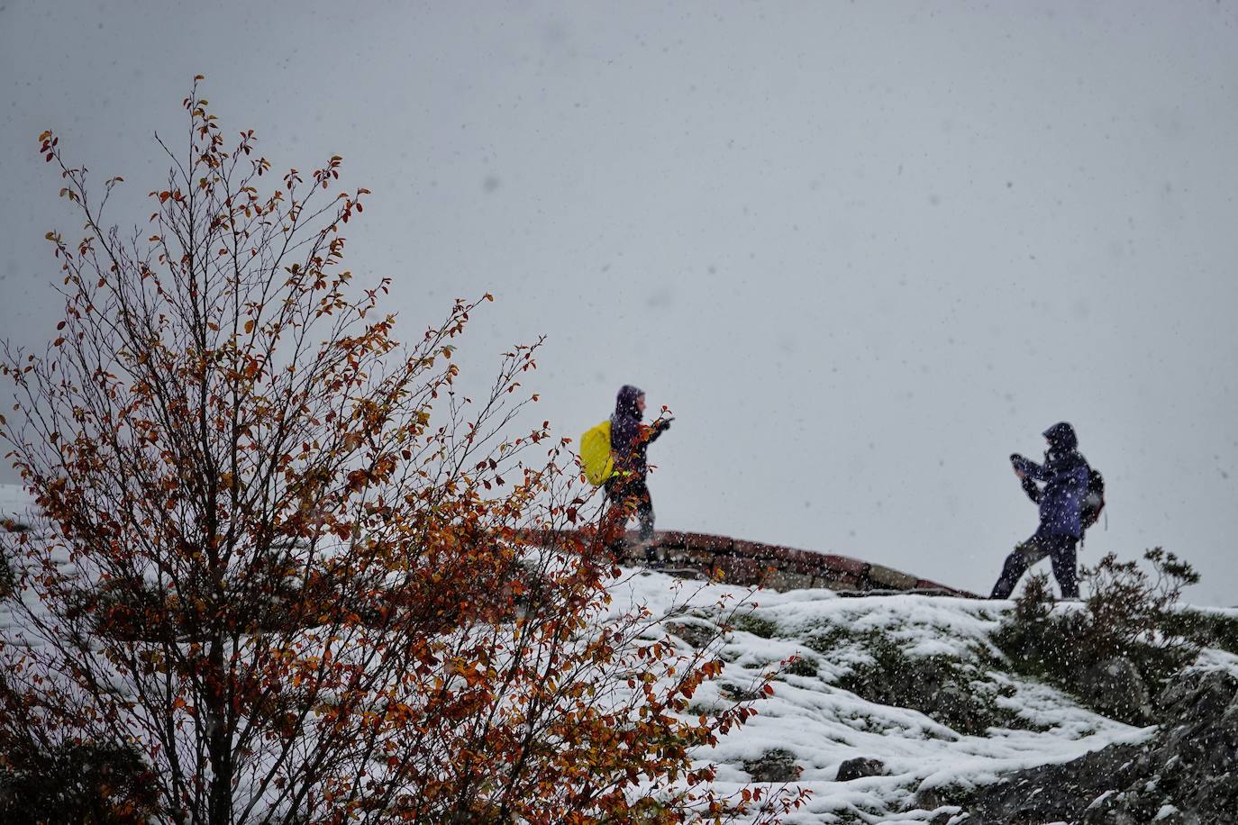 Fotos: Asturias, bajo la nieve