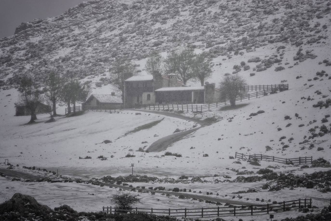 Fotos: Asturias, bajo la nieve