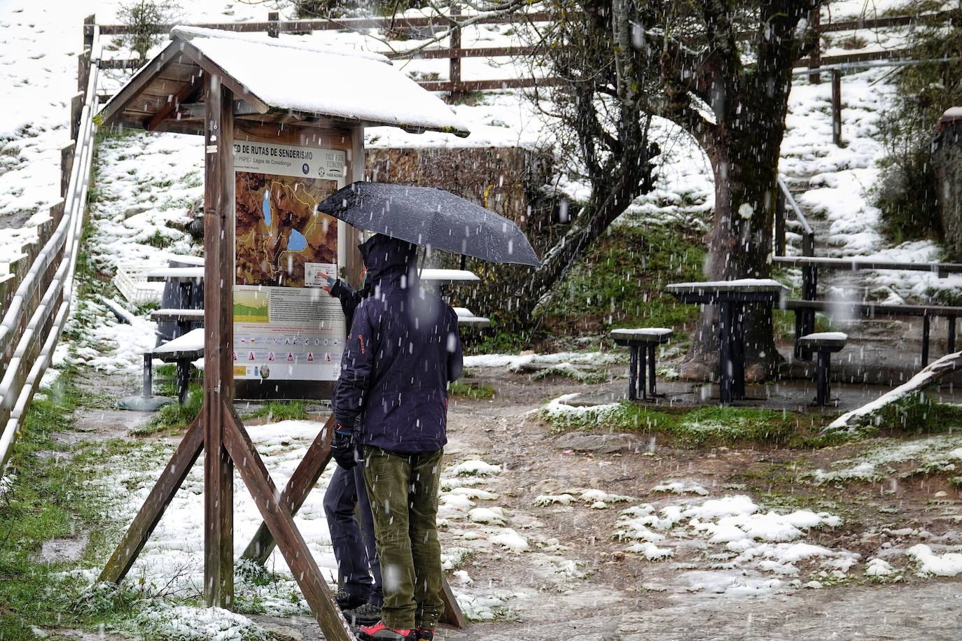 Fotos: Asturias, bajo la nieve