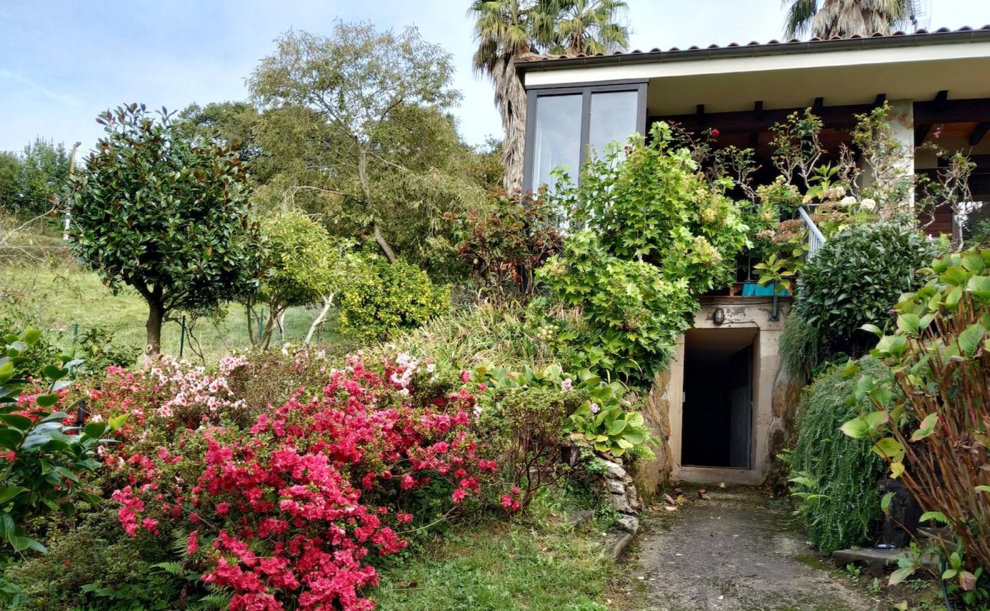 Acceso a la casa y al sótano rodeado de llamativas composiciones vegetales. 