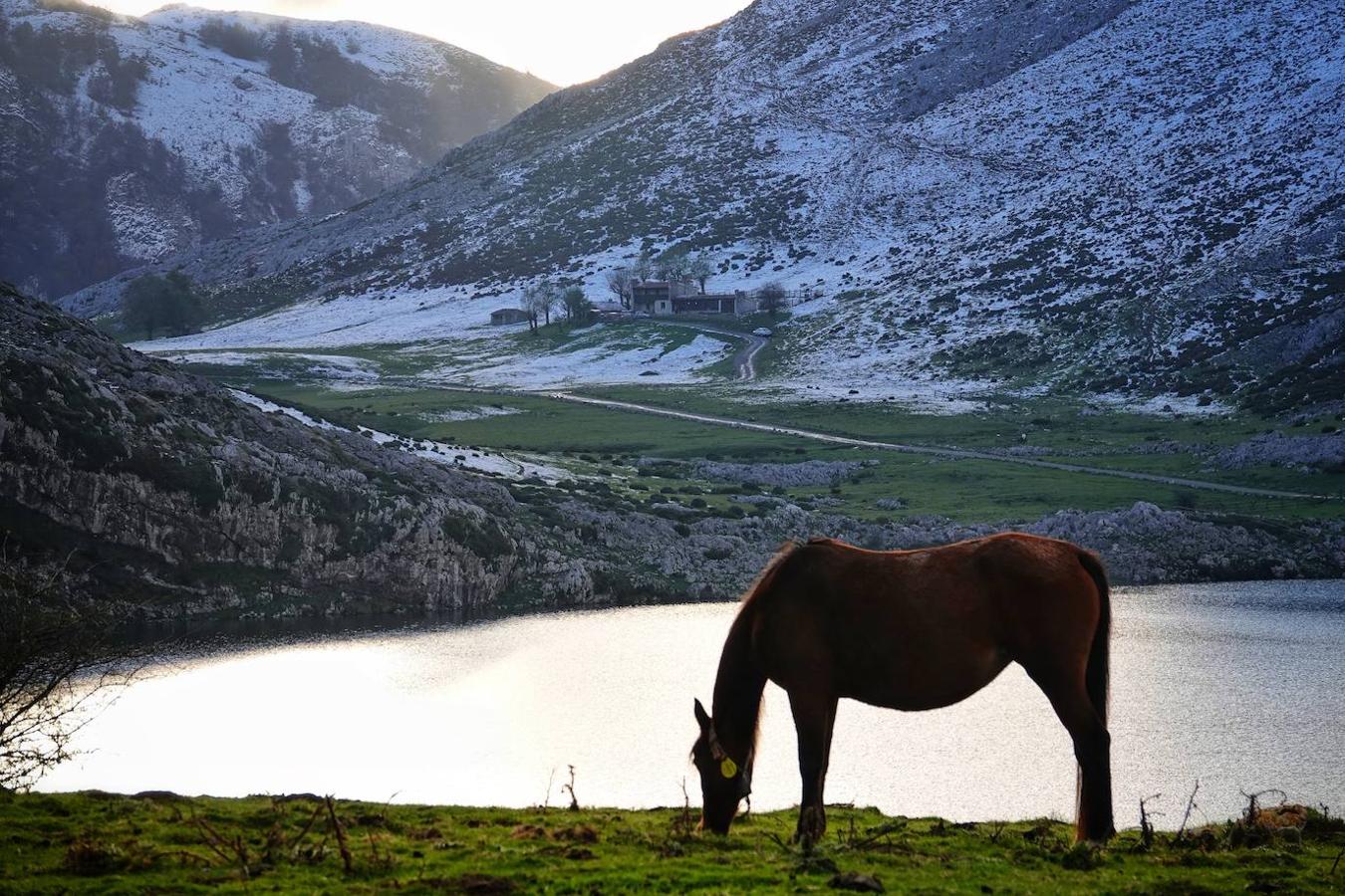 Con las primeras nieves, la zona de los Lagos de Covadonga ofrece un impresionante espectáculo este fin de semana. Así lo reflejan las imágenes captadas por el fotógrafo Xuan Cueto