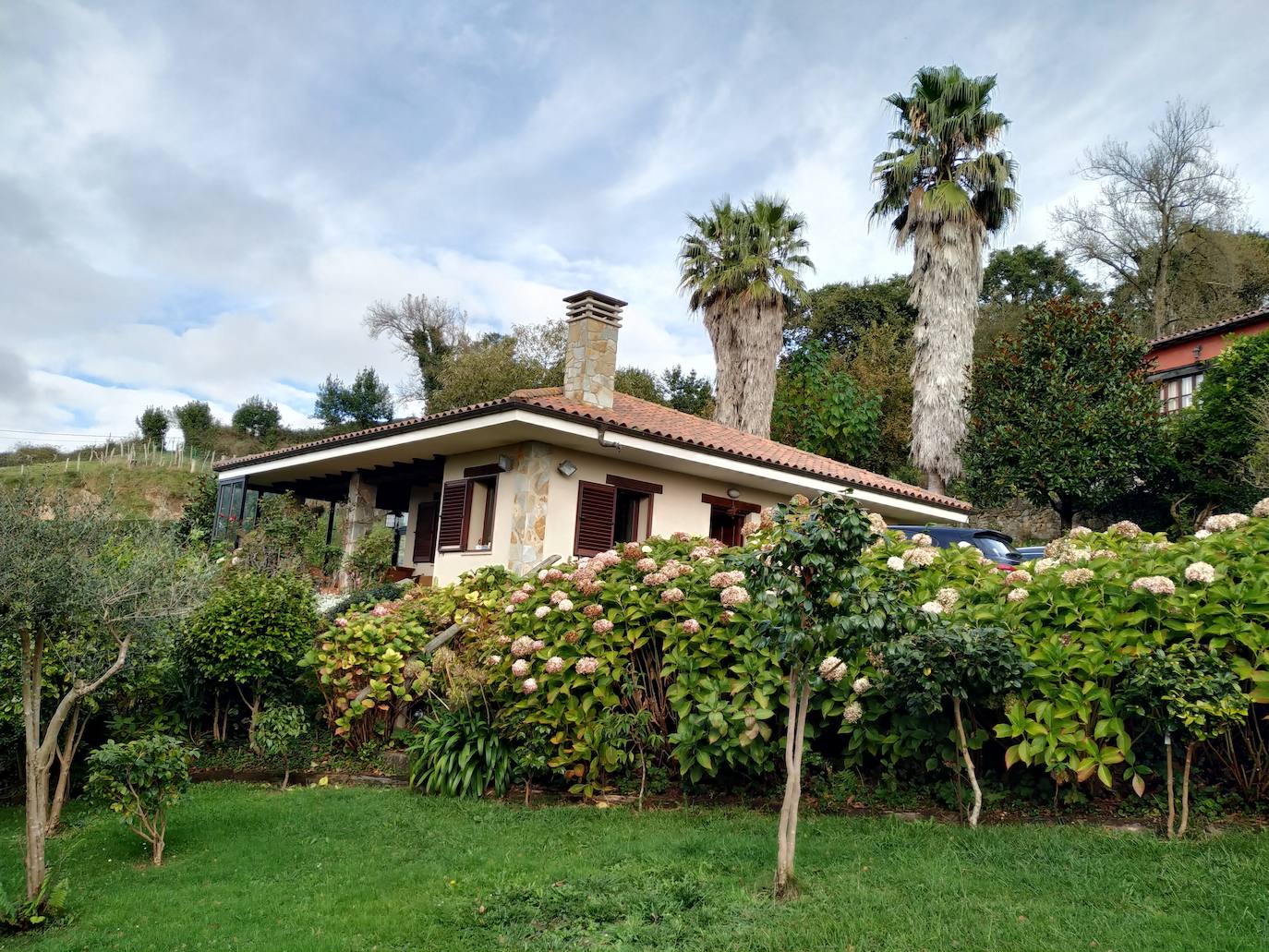 Vista del jardín con las palmeras canarias, las hortensias y alguna camelia.