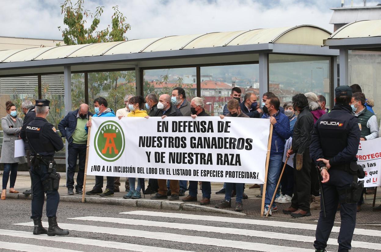 Ganaderos asturianos, en una protesta contra la protección del lobo y su inclusión en el Lespre. 
