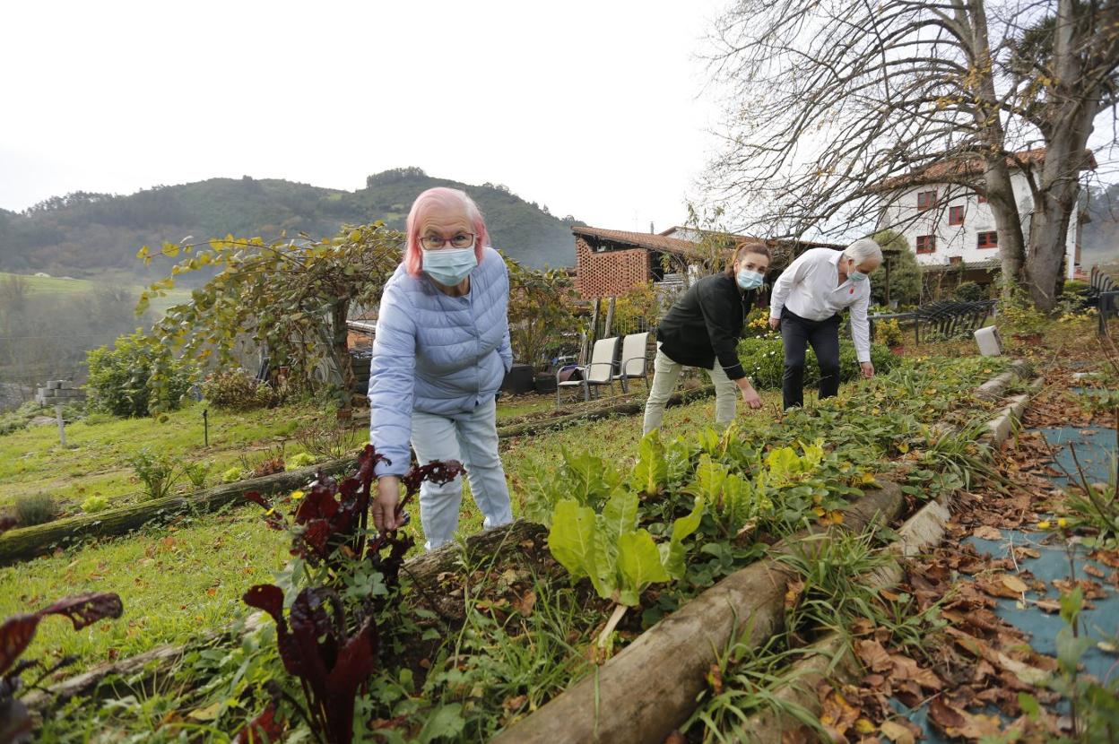 Viri Fernández, en su huerta, de la que se nutre el restaurante. 