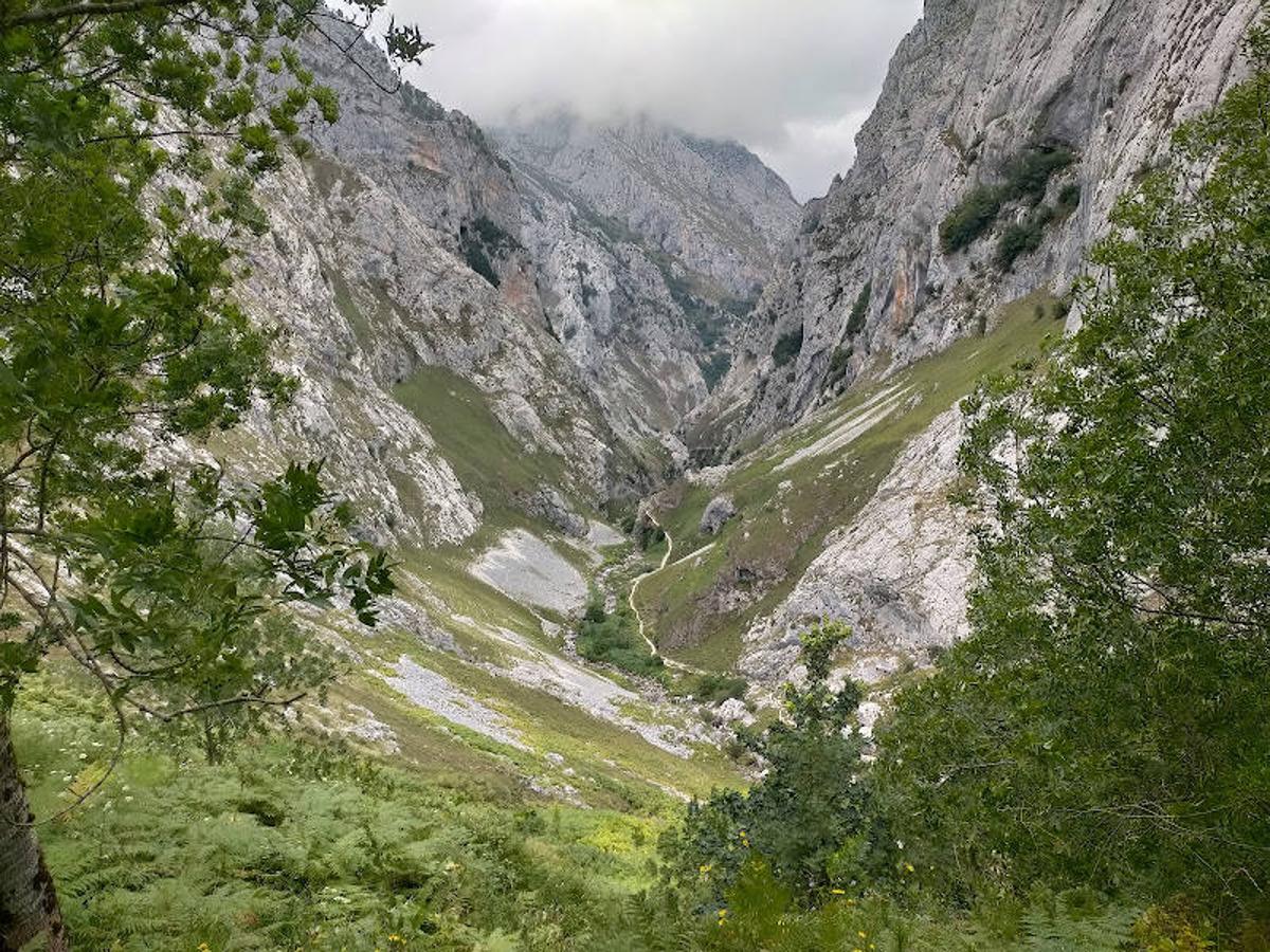 Vistas a la Canal del Texu desde Bulnes de Arriba (Picos de Europa).