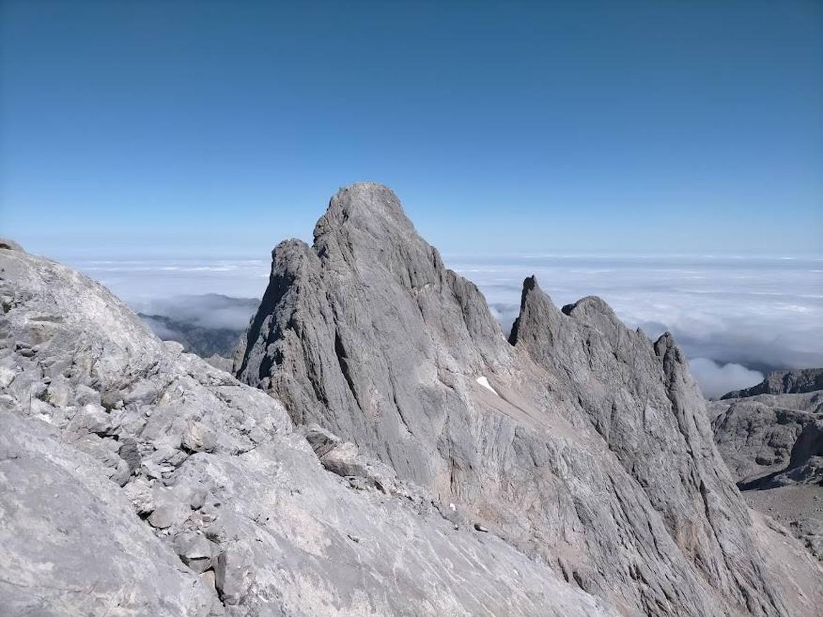 Vistas al Pico Cabrones desde el Torrecerredo (Picos de Europa).