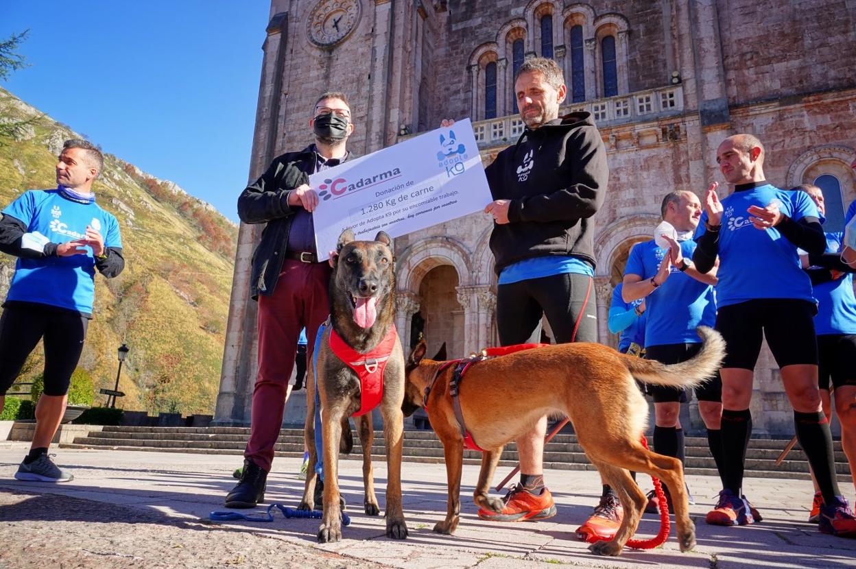 'Gea' y 'Bruma' se sumaron a la peregrinación. 