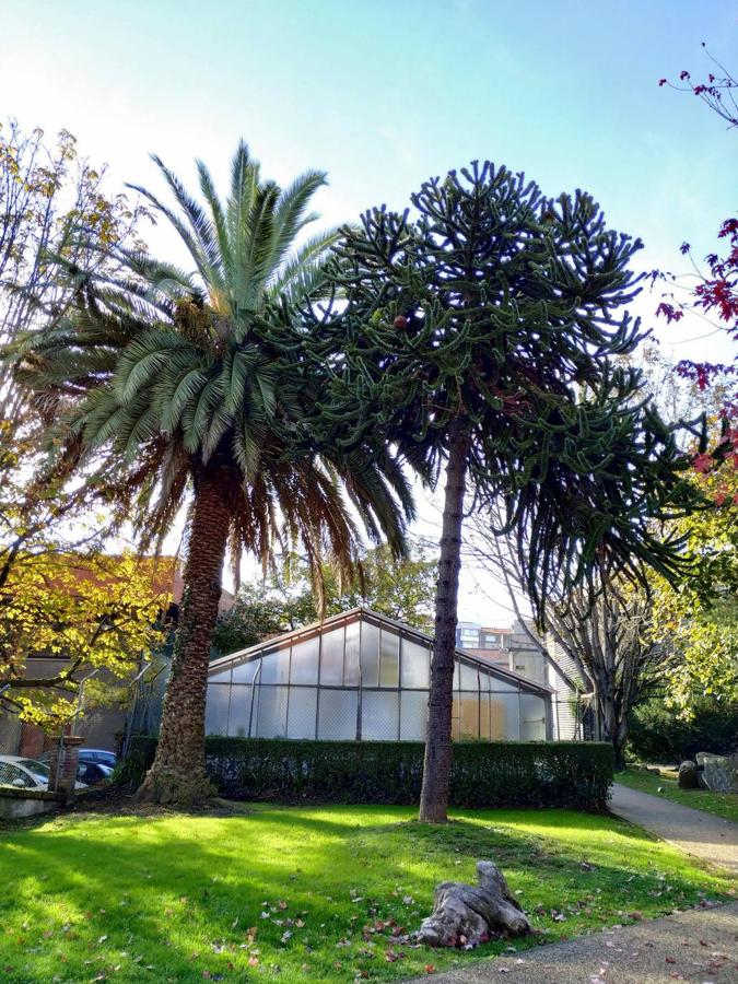 Este jardín es un excelente muestrario segmentado en pequeños espacios verdes personalizados por los árboles que los integran y por las muestras de estratos rocosos de los diferentes periodos de la historia geológica de Oviedo.