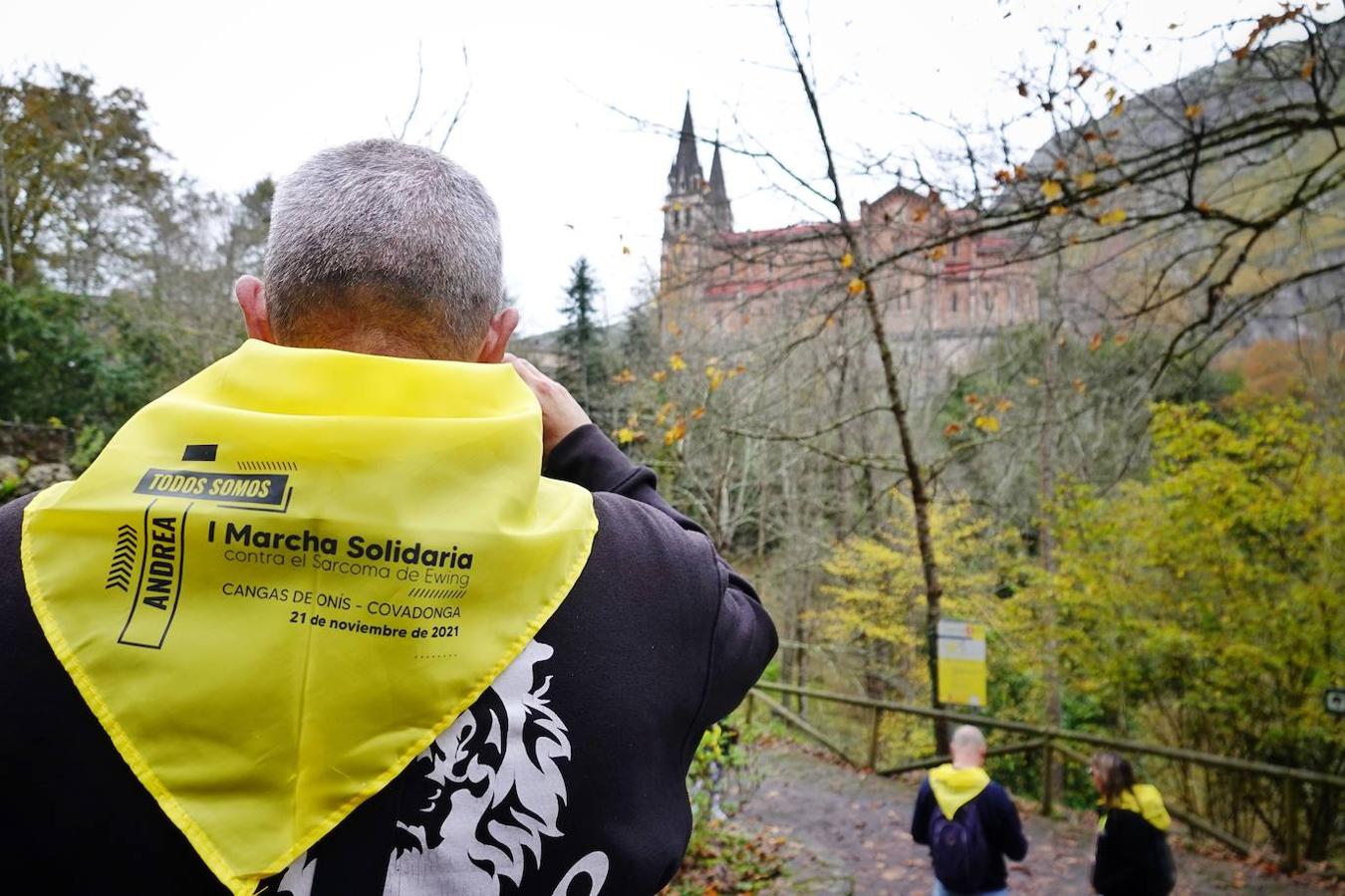 La I Marcha Solidaria contra el Sarcoma de Ewing, que se celebró este domingo entre Cangas de Onís y el Santuario de Covadonga, contó con más de 600 inscritos. Todo el dinero que se recaude se destinará, a través de la asociación 'Todos Somos Iván', a la investigación contra esta enfermedad, que se lleva a cabo en el Hospital Virgen del Rocío de Sevilla.