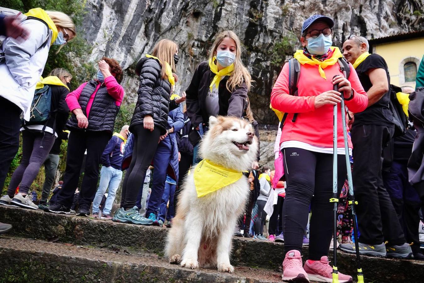 La I Marcha Solidaria contra el Sarcoma de Ewing, que se celebró este domingo entre Cangas de Onís y el Santuario de Covadonga, contó con más de 600 inscritos. Todo el dinero que se recaude se destinará, a través de la asociación 'Todos Somos Iván', a la investigación contra esta enfermedad, que se lleva a cabo en el Hospital Virgen del Rocío de Sevilla.