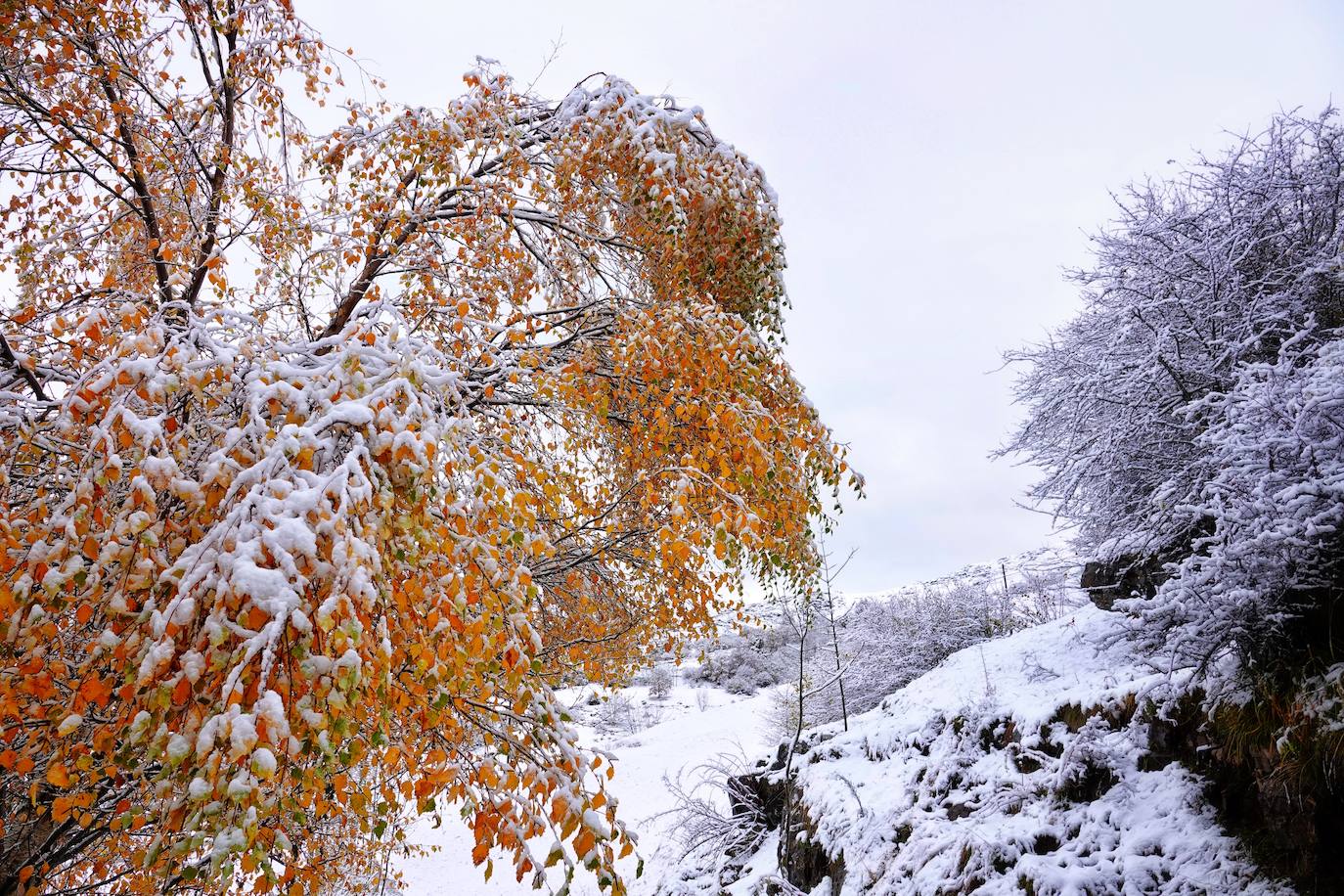 Fotos: Asturias, bajo el primer temporal de nieve del otoño