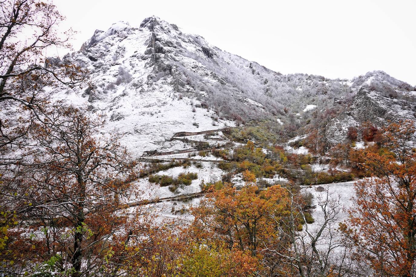 Fotos: Asturias, bajo el primer temporal de nieve del otoño