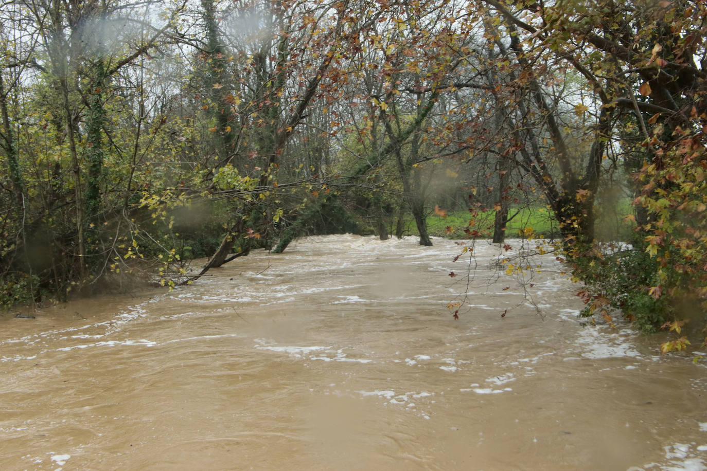 Las intensas lluvias y la nieve caída en los últimos días ha provocado importantes daños en buena parte de Asturias, principalmente en la zona oriental de la región donde, incluso, se ha tenido que evacuar a decenas de pacientes del hospital de Arriondas. Pero el agua también ha anegado otras áreas de Asturias 