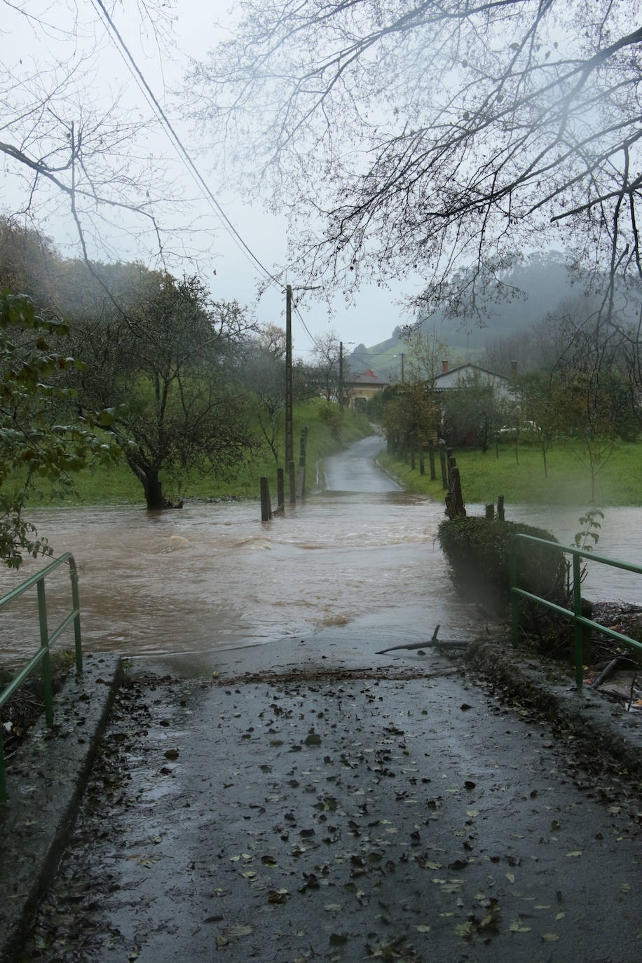 Las intensas lluvias y la nieve caída en los últimos días ha provocado importantes daños en buena parte de Asturias, principalmente en la zona oriental de la región donde, incluso, se ha tenido que evacuar a decenas de pacientes del hospital de Arriondas. Pero el agua también ha anegado otras áreas de Asturias 