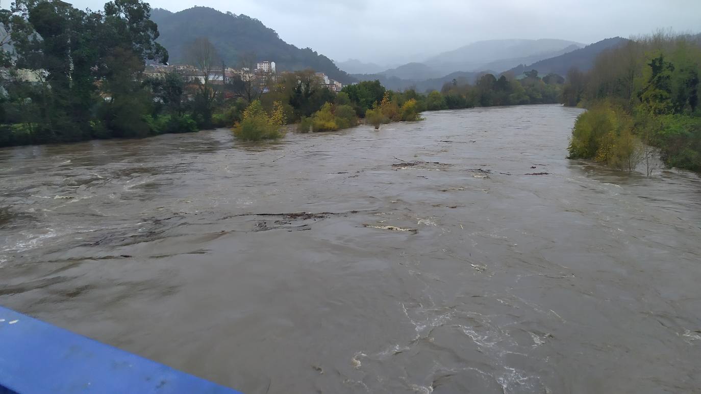 Las intensas lluvias y la nieve caída en los últimos días ha provocado importantes daños en buena parte de Asturias, principalmente en la zona oriental de la región donde, incluso, se ha tenido que evacuar a decenas de pacientes del hospital de Arriondas. Pero el agua también ha anegado otras áreas de Asturias 