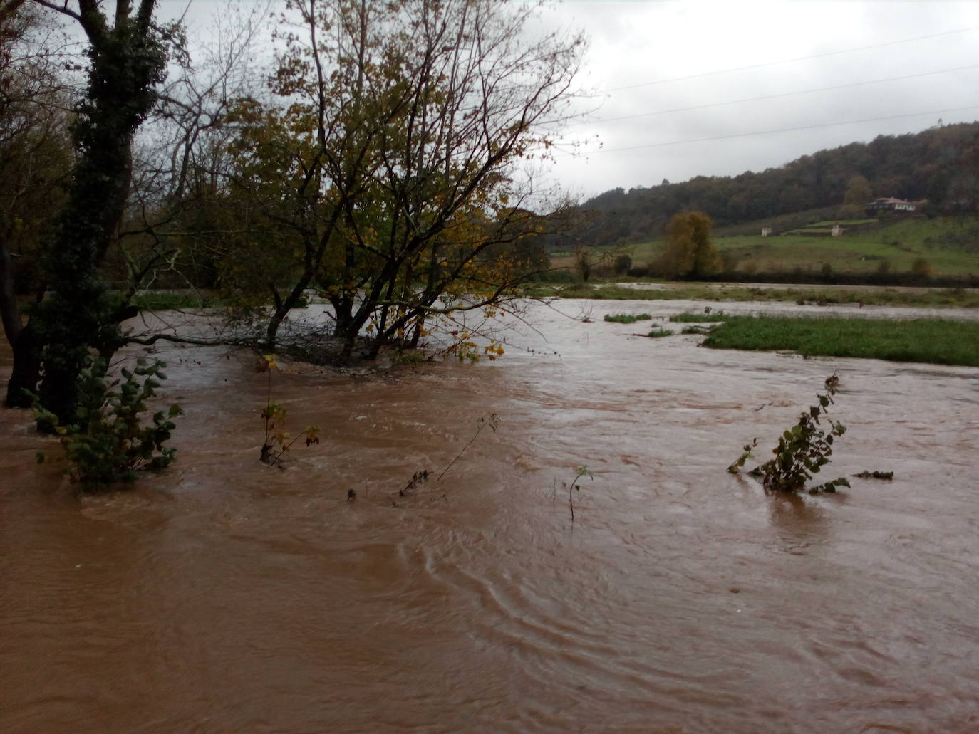 Las intensas lluvias y la nieve caída en los últimos días ha provocado importantes daños en buena parte de Asturias, principalmente en la zona oriental de la región donde, incluso, se ha tenido que evacuar a decenas de pacientes del hospital de Arriondas. Pero el agua también ha anegado otras áreas de Asturias 
