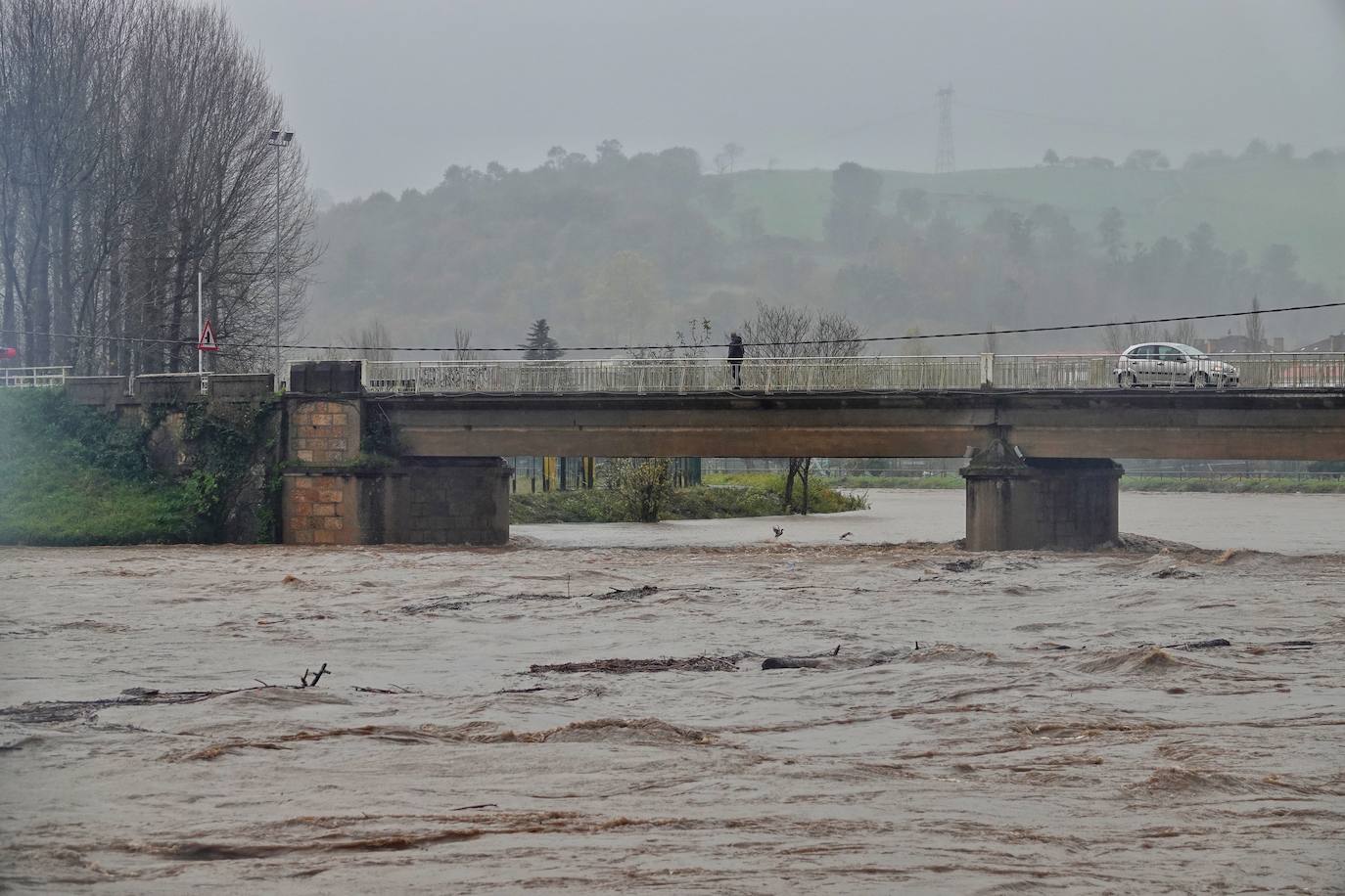Las intensas lluvias y la nieve caída en los últimos días ha provocado importantes daños en buena parte de Asturias, principalmente en la zona oriental de la región donde, incluso, se ha tenido que evacuar a decenas de pacientes del hospital de Arriondas. Pero el agua también ha anegado otras áreas de Asturias 