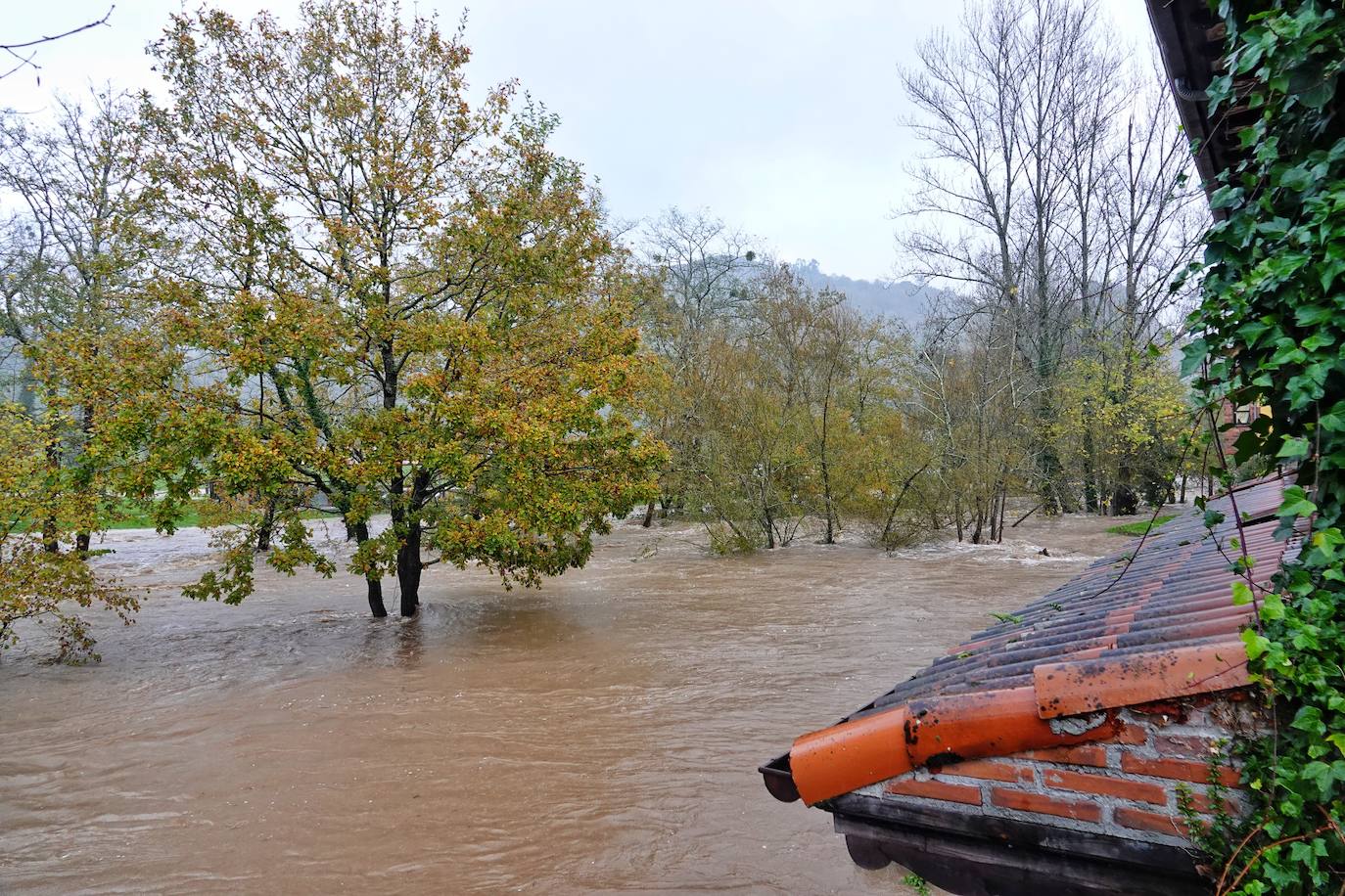 Las intensas lluvias y la nieve caída en los últimos días ha provocado importantes daños en buena parte de Asturias, principalmente en la zona oriental de la región donde, incluso, se ha tenido que evacuar a decenas de pacientes del hospital de Arriondas. Pero el agua también ha anegado otras áreas de Asturias 