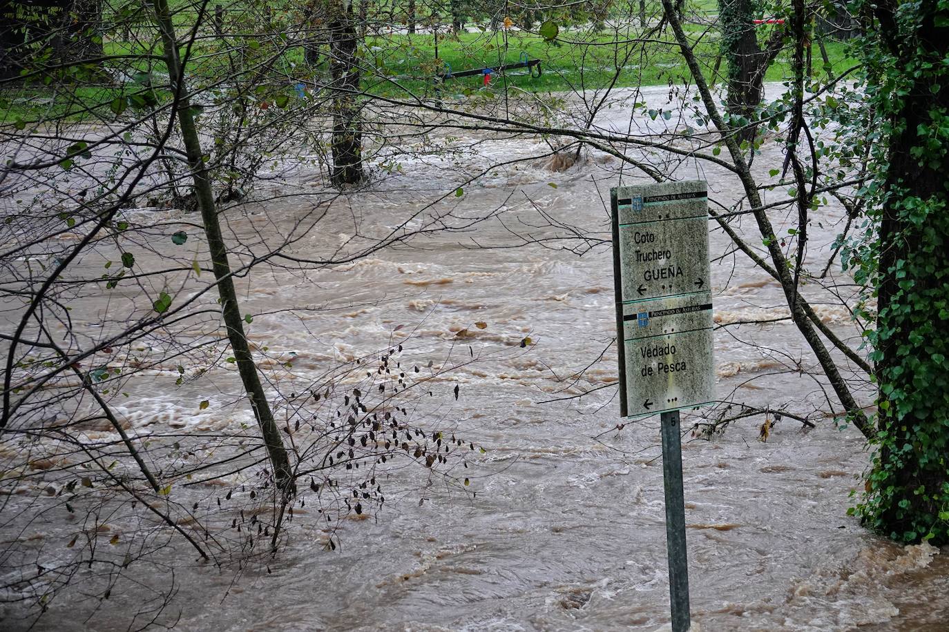 Las intensas lluvias y la nieve caída en los últimos días ha provocado importantes daños en buena parte de Asturias, principalmente en la zona oriental de la región donde, incluso, se ha tenido que evacuar a decenas de pacientes del hospital de Arriondas. Pero el agua también ha anegado otras áreas de Asturias 