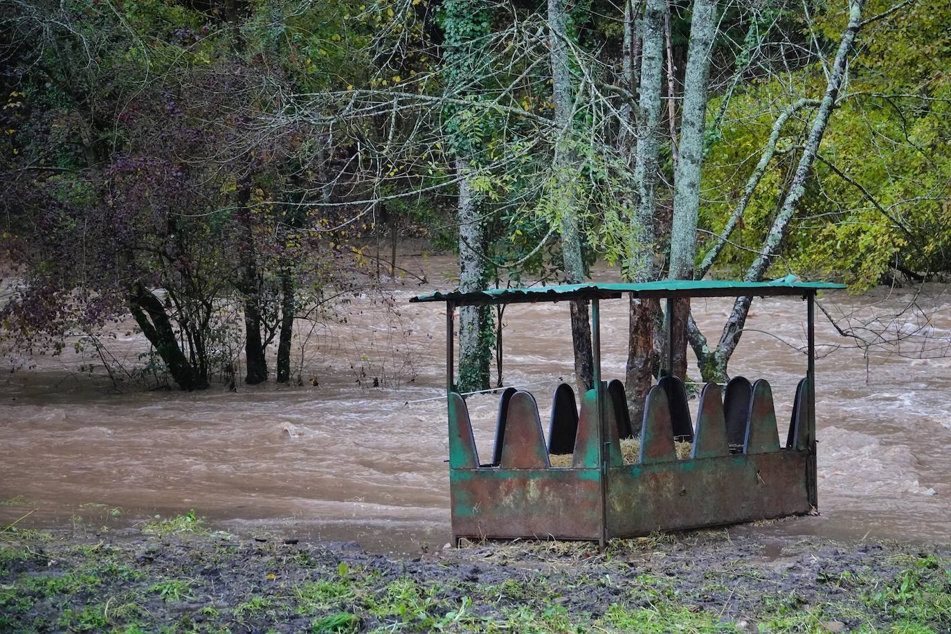 Fotos: Los ríos se desbordan en el oriente de Asturias