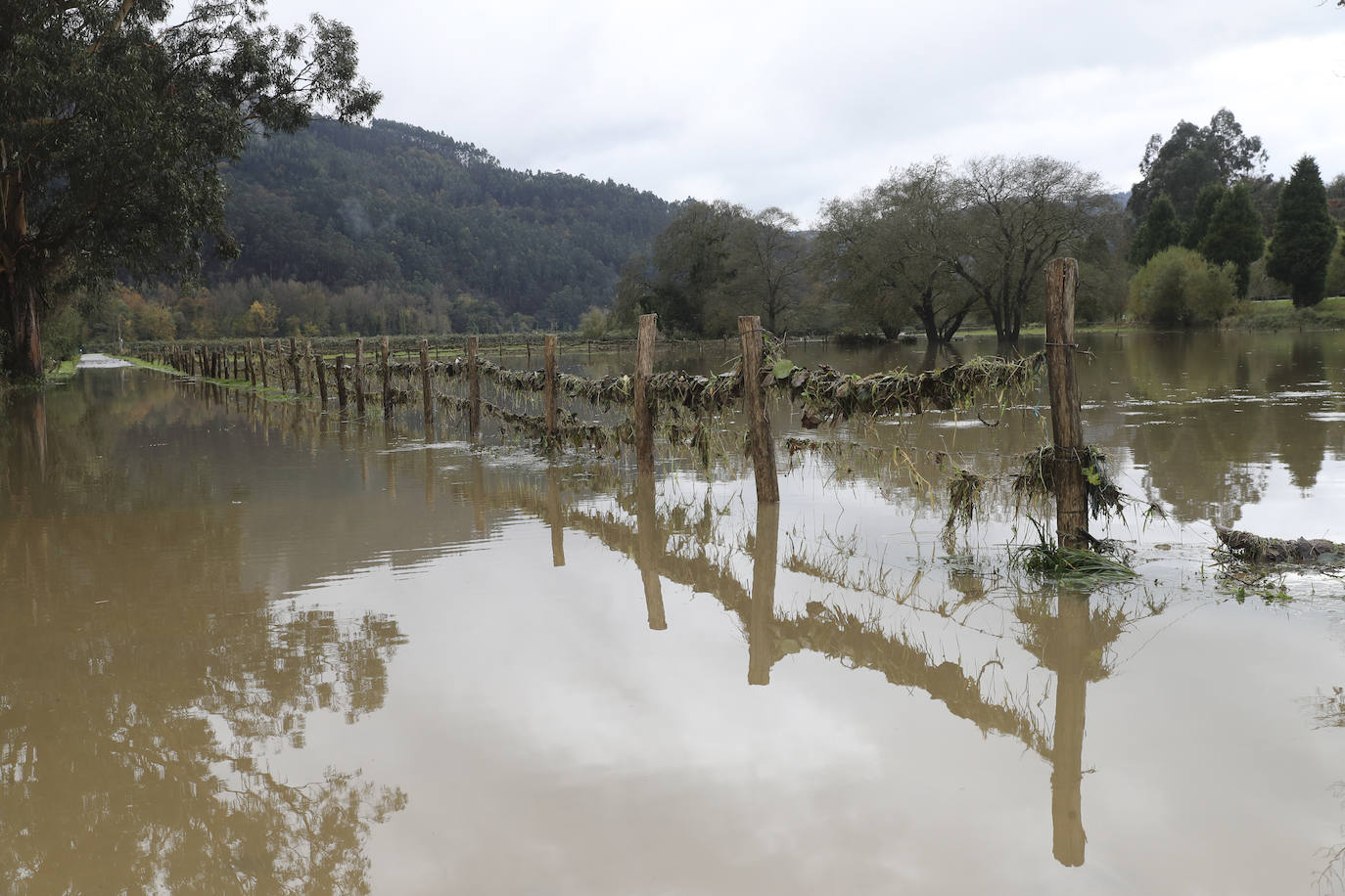 Los concejos afectados por las fuertes lluvias tratan de recuperarse de los estragos causados por el temporal. Con las treguas intermitentes que están concediendo las precipitaciones, bomberos y vecinos se afanan en limpiar los destrozos que el agua provocó en las últimas horas. En Arriondas, los esfuerzos se centran tanto en la zona escolar y el barrio de El Barco como en la deportiva, donde ha sido una mañana de limpieza y retirada del barro.