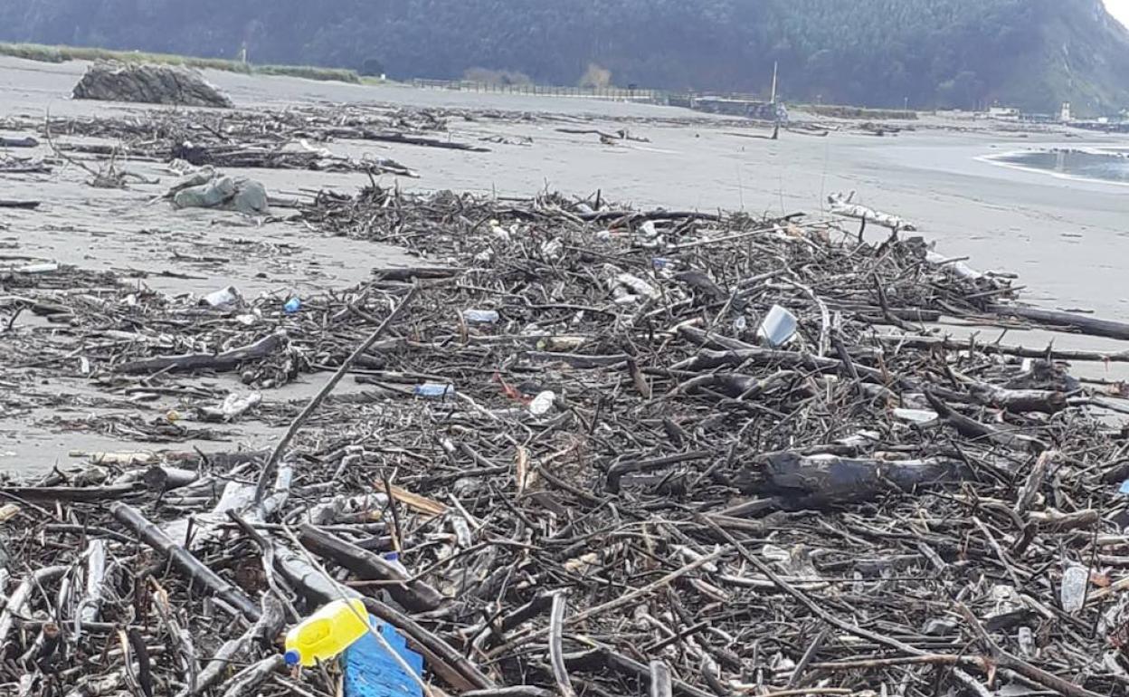 La playa de Los Quebrantos, llena de ramas y troncos.