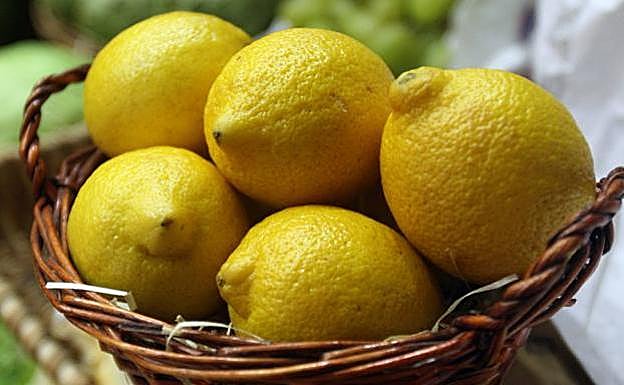 ¿Por qué los perros no pueden comer limón?