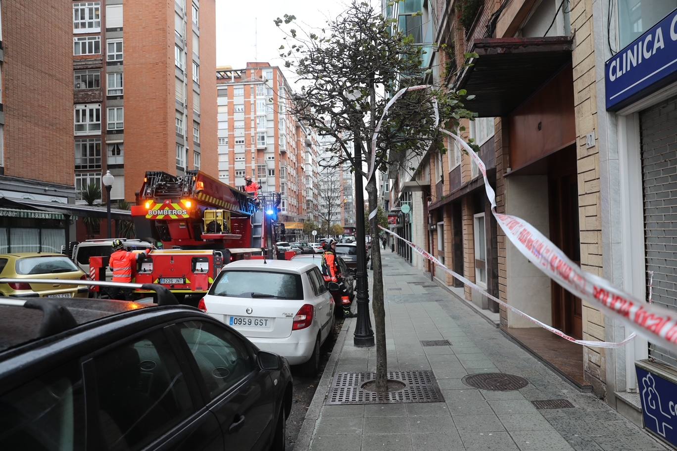 El temporal tira un árbol de 20 metros en Isabel la Católica y el alumbrado navideño de Aquilino Hurlé