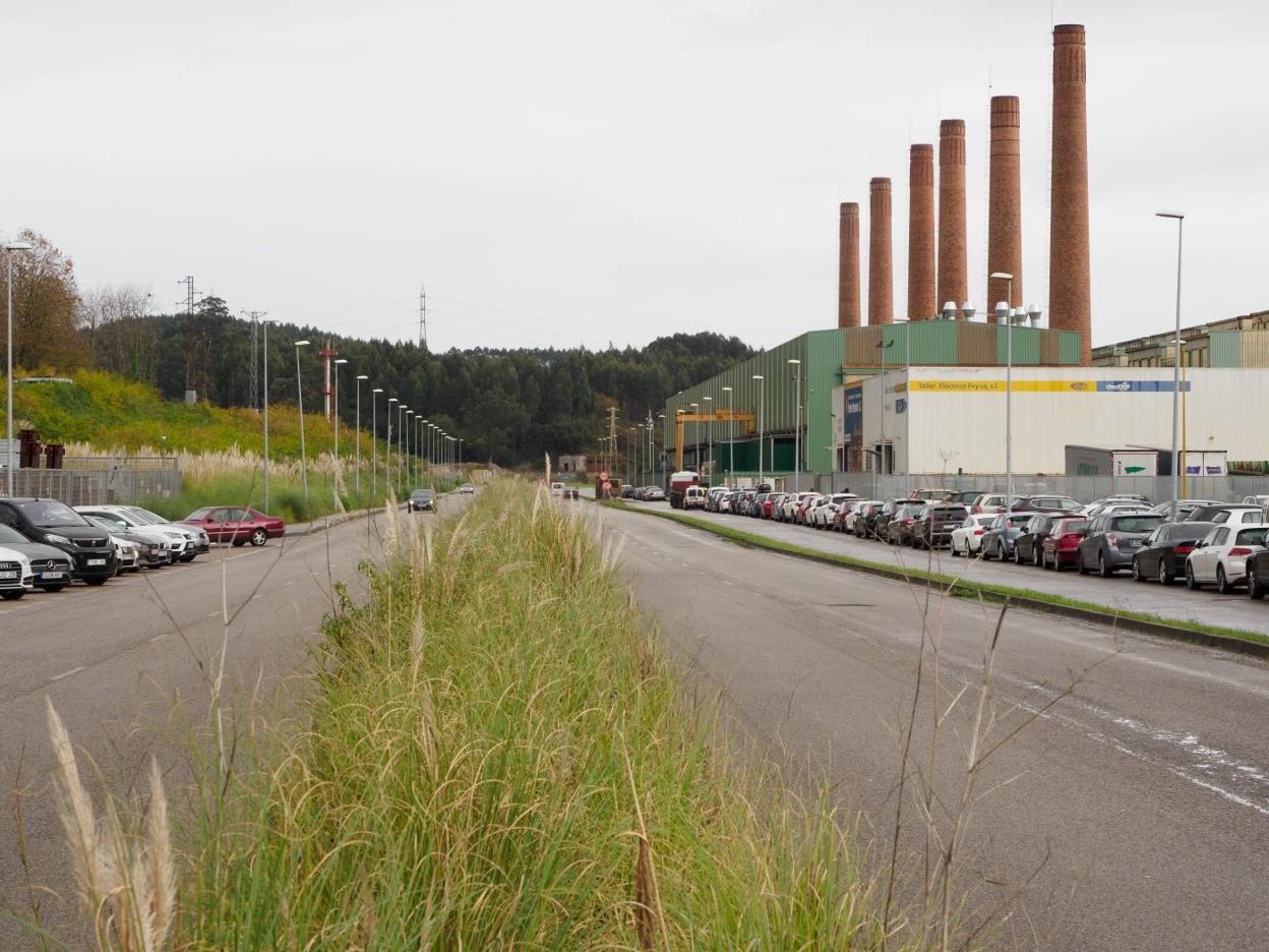 Vista general de la avenida de la Siderurgia en el Parque Empresarial Principado de Asturias, donde la maleza ha invadido la mediana. 
