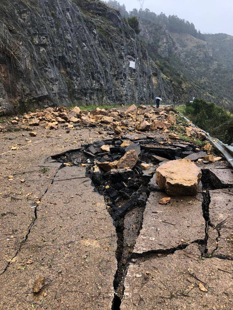 Un argayo caído sobre la AS-15, principal arteria de comunicación del suroccidente con el centro de Asturias, ha matado a una mujer y ha cortado la vía. Una gran roca se desprendió en Tineo desde una zona situada por encima de la malla de sujeción instalada en la zona.