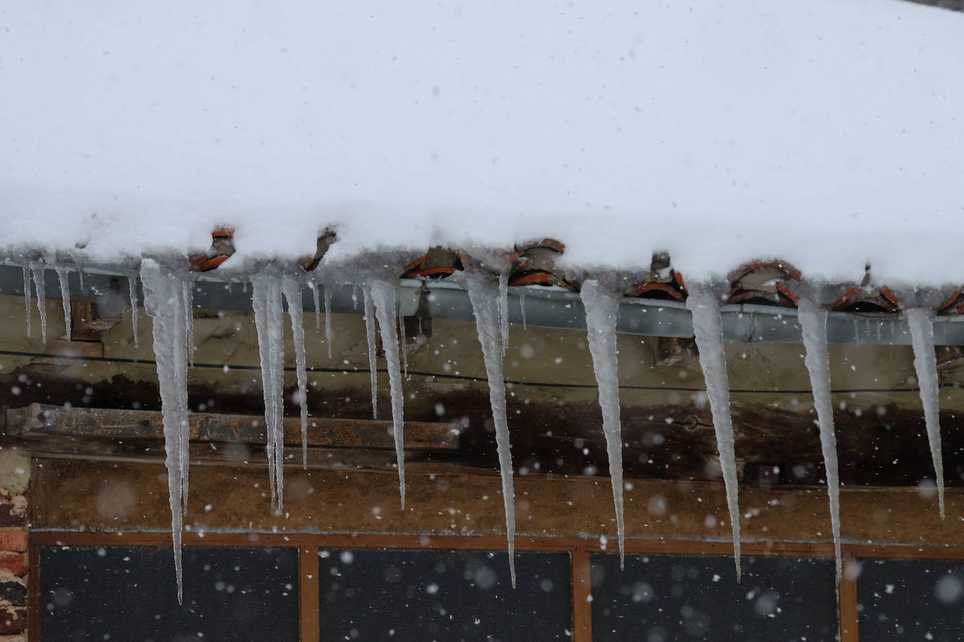 Fotos: La impresionante nevada en Somiedo