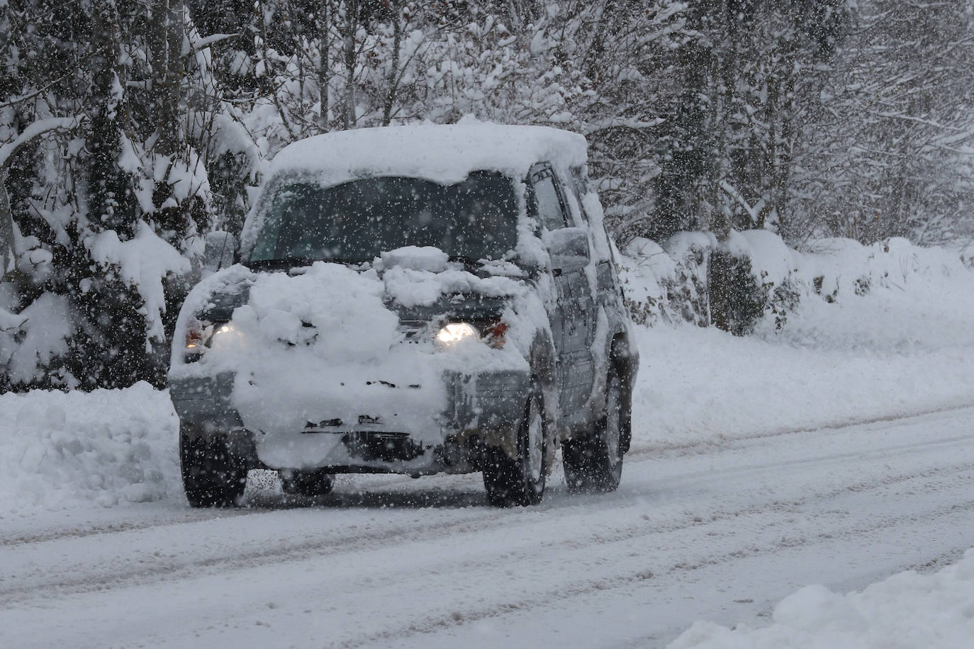 Fotos: La impresionante nevada en Somiedo