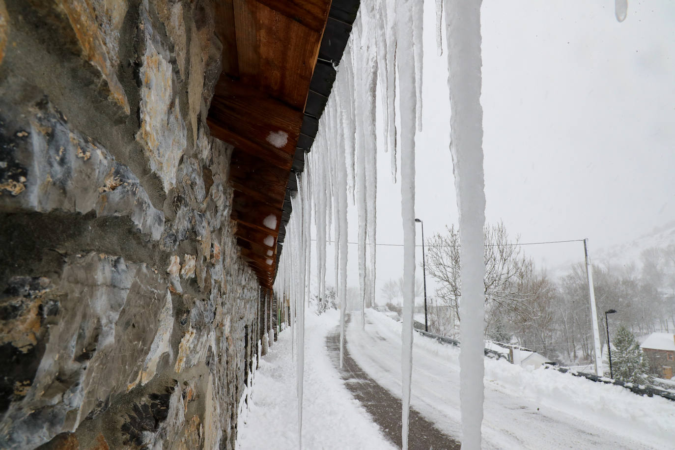 Fotos: La impresionante nevada en Somiedo