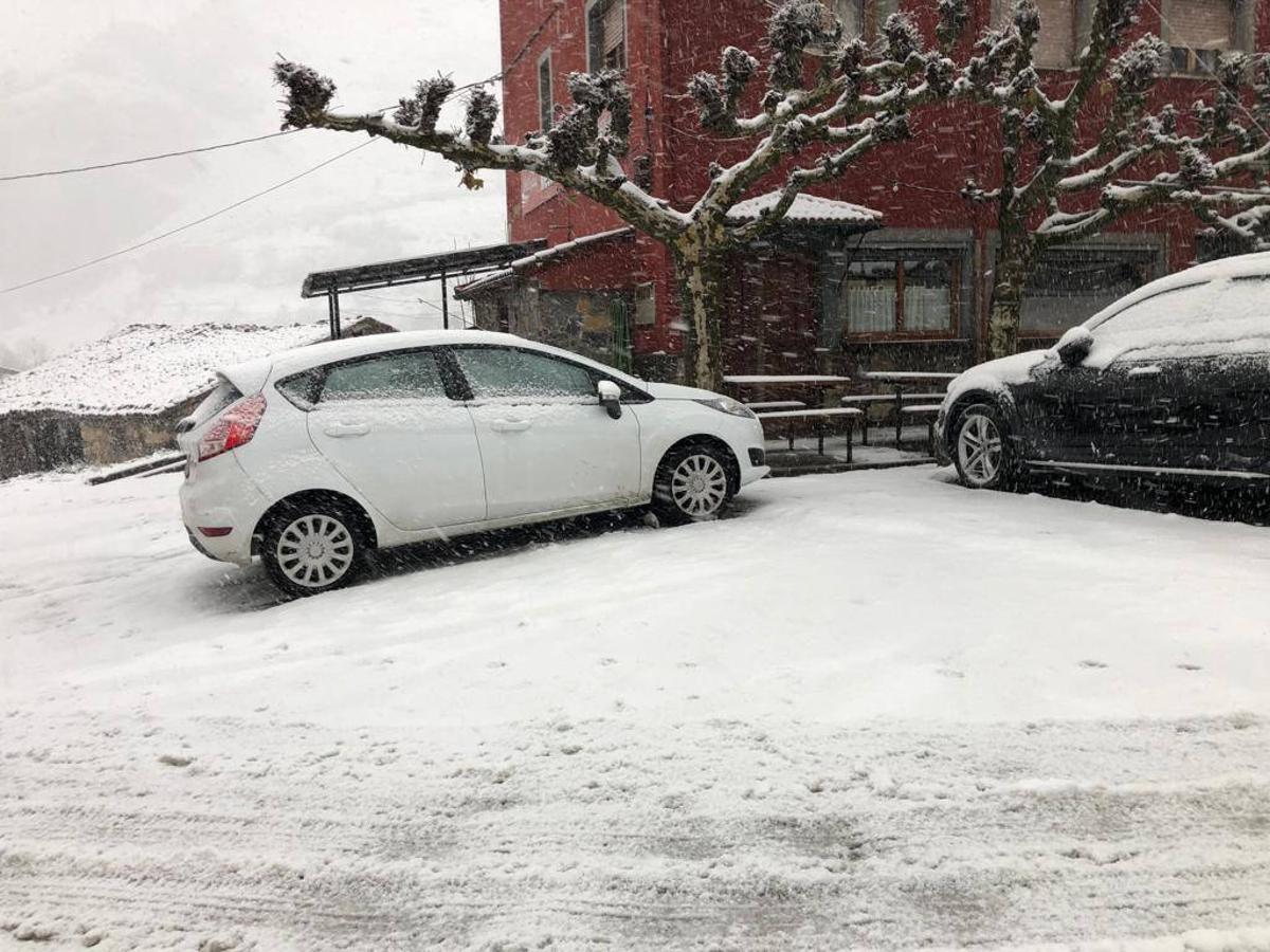 Nieve en Asturias, en la estaciones de esquí de Brañillín y en Somiedo.