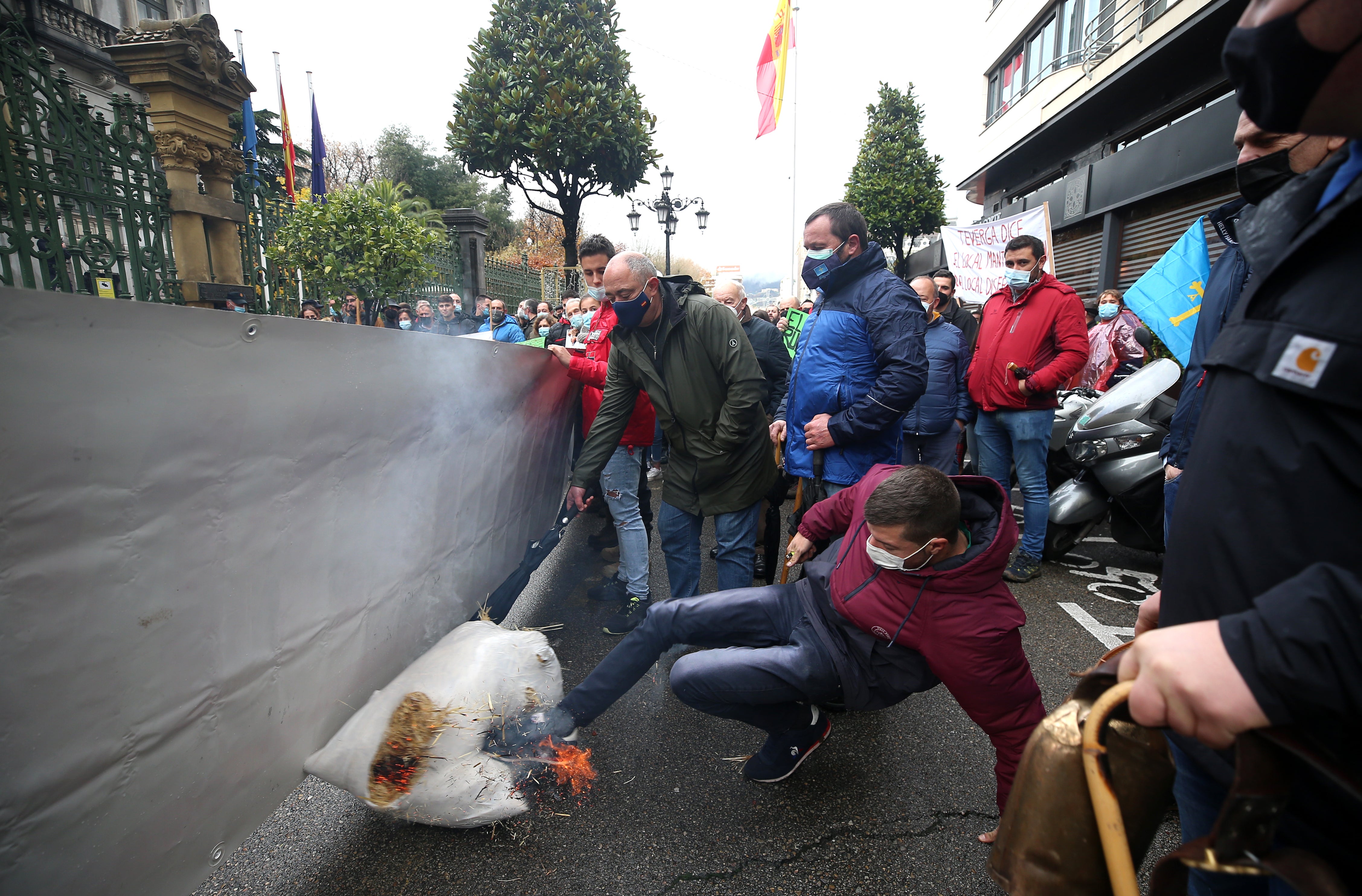 Fotos: El sector ganadero asturiano se manifiesta en Oviedo
