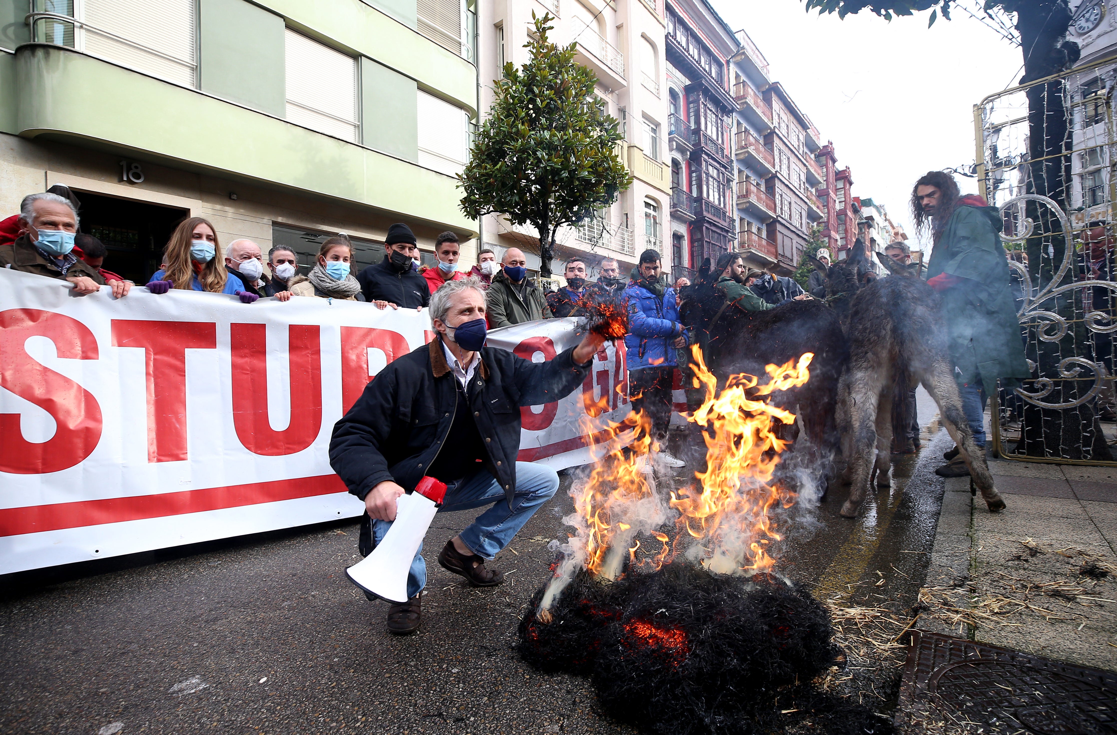 Fotos: El sector ganadero asturiano se manifiesta en Oviedo