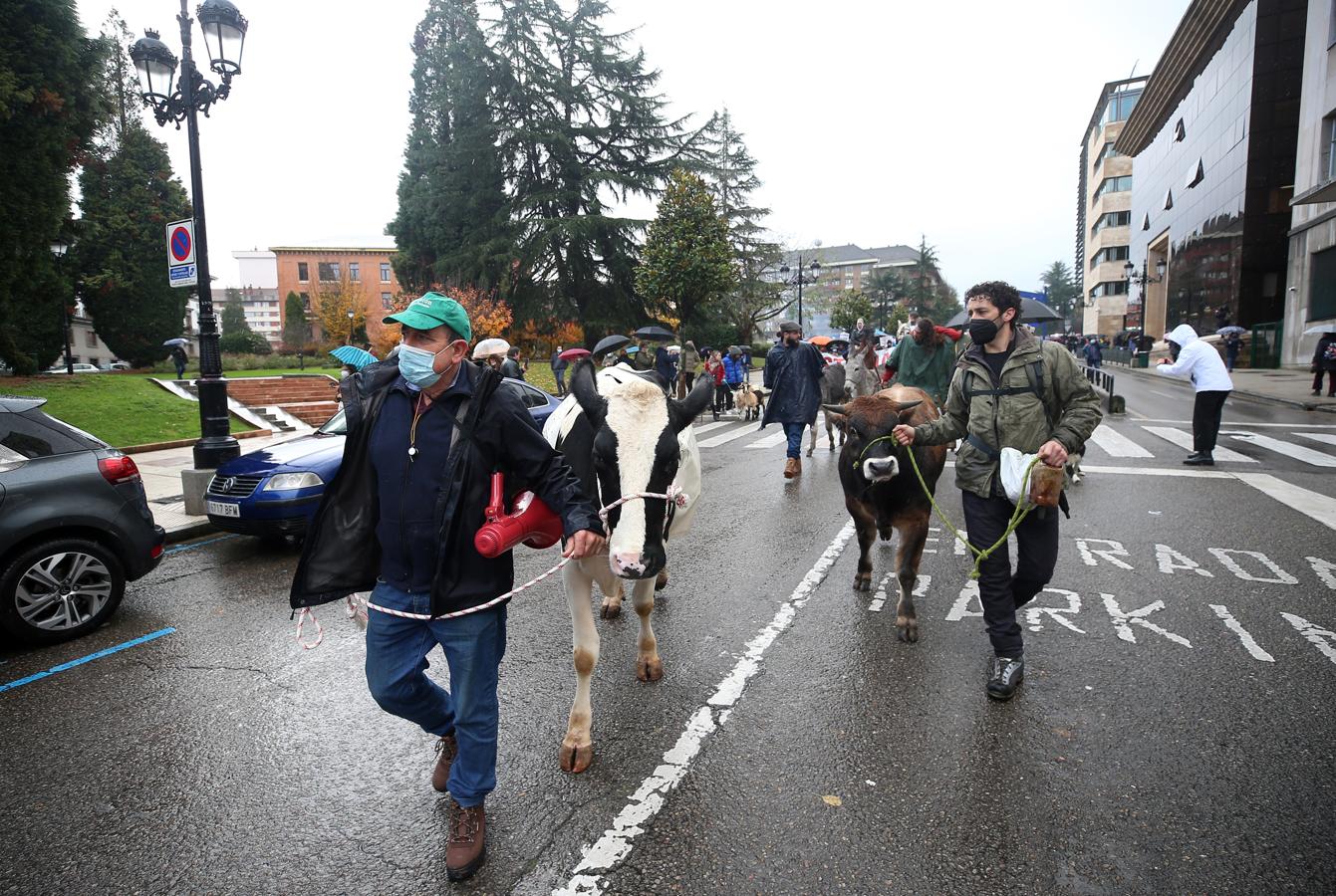 Fotos: El sector ganadero asturiano se manifiesta en Oviedo
