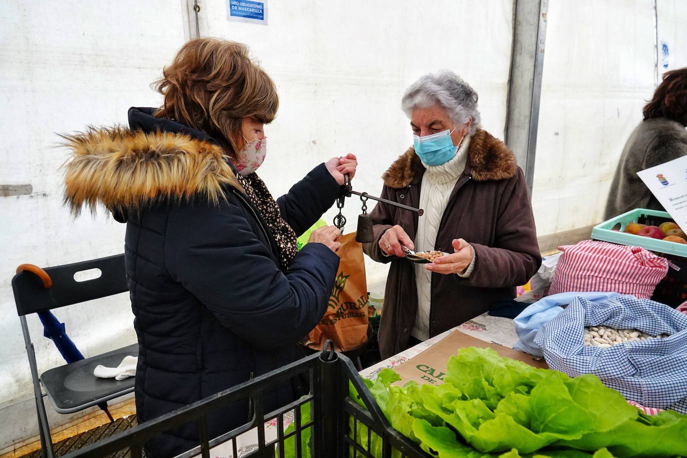 Fotos: Víctor Manuel anima la Feria de les Fabes de Colunga