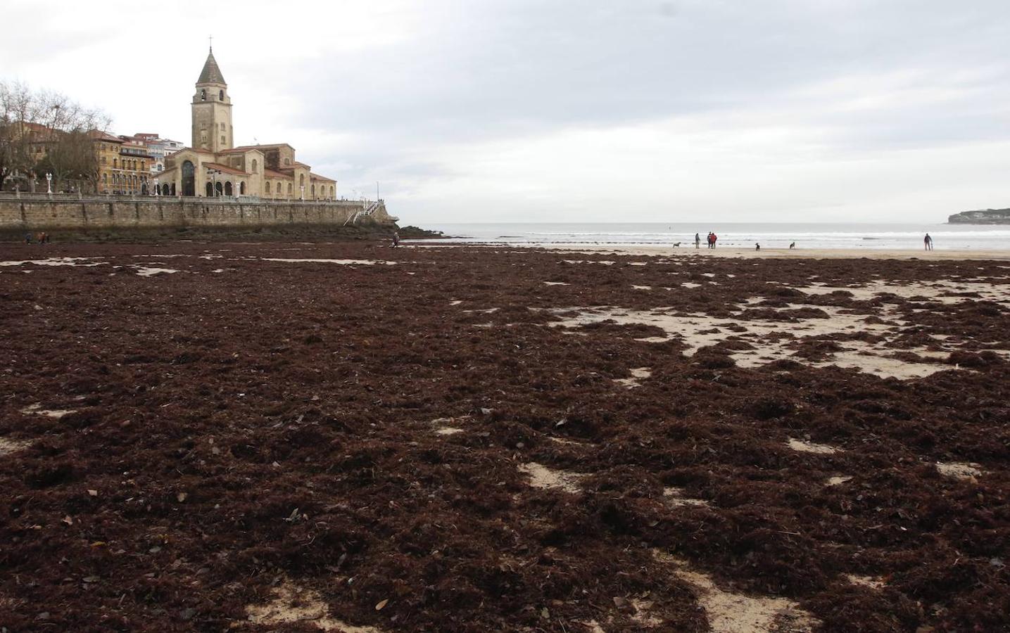 Fotos: El temporal no da tregua en Gijón con fuertes rachas de viento y olas