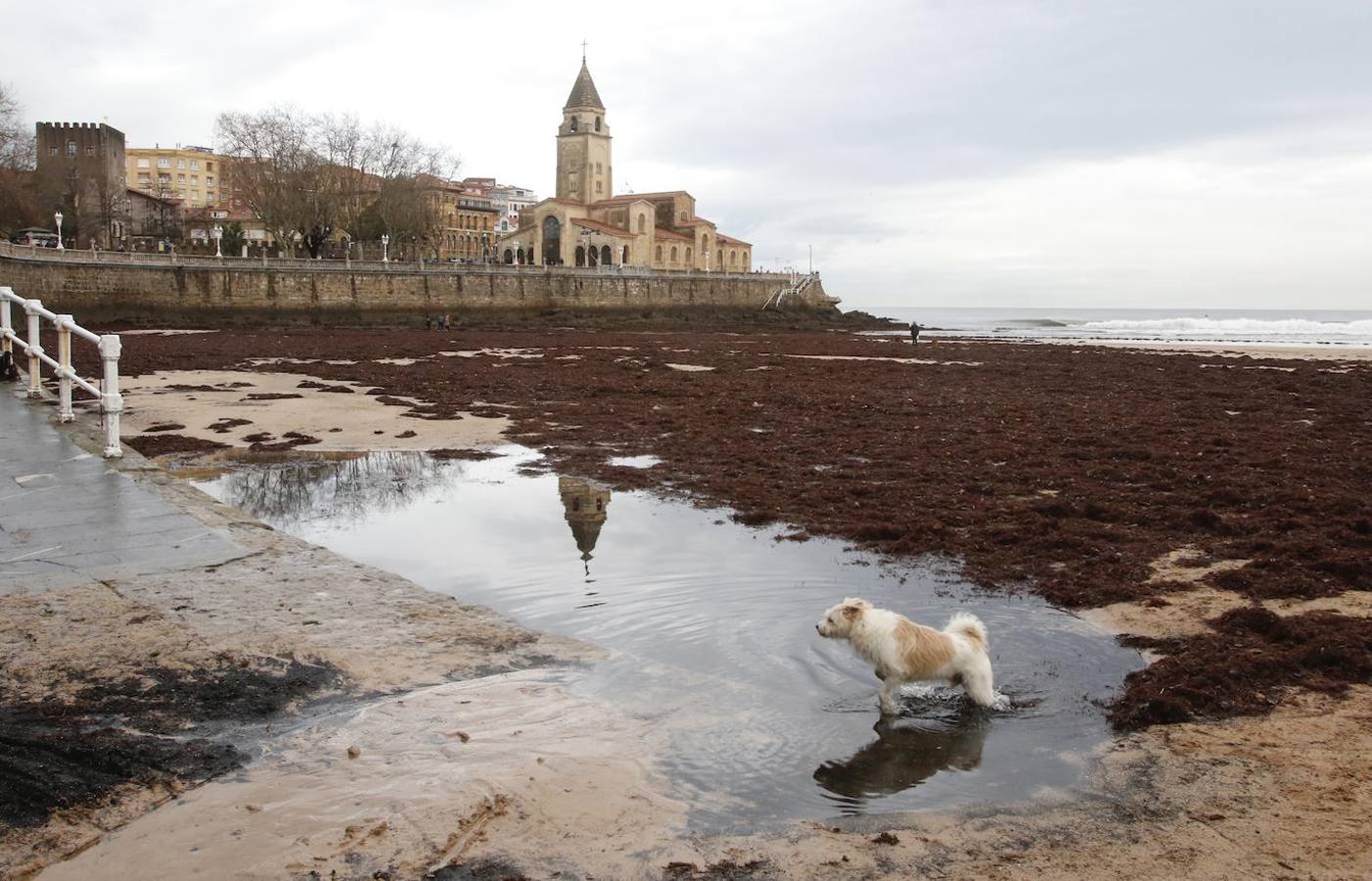 Fotos: El temporal no da tregua en Gijón con fuertes rachas de viento y olas