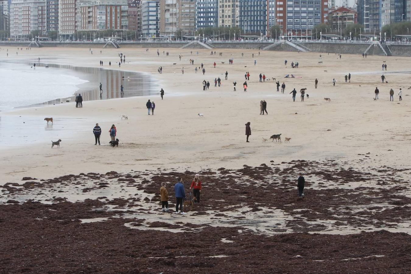 Fotos: El temporal no da tregua en Gijón con fuertes rachas de viento y olas