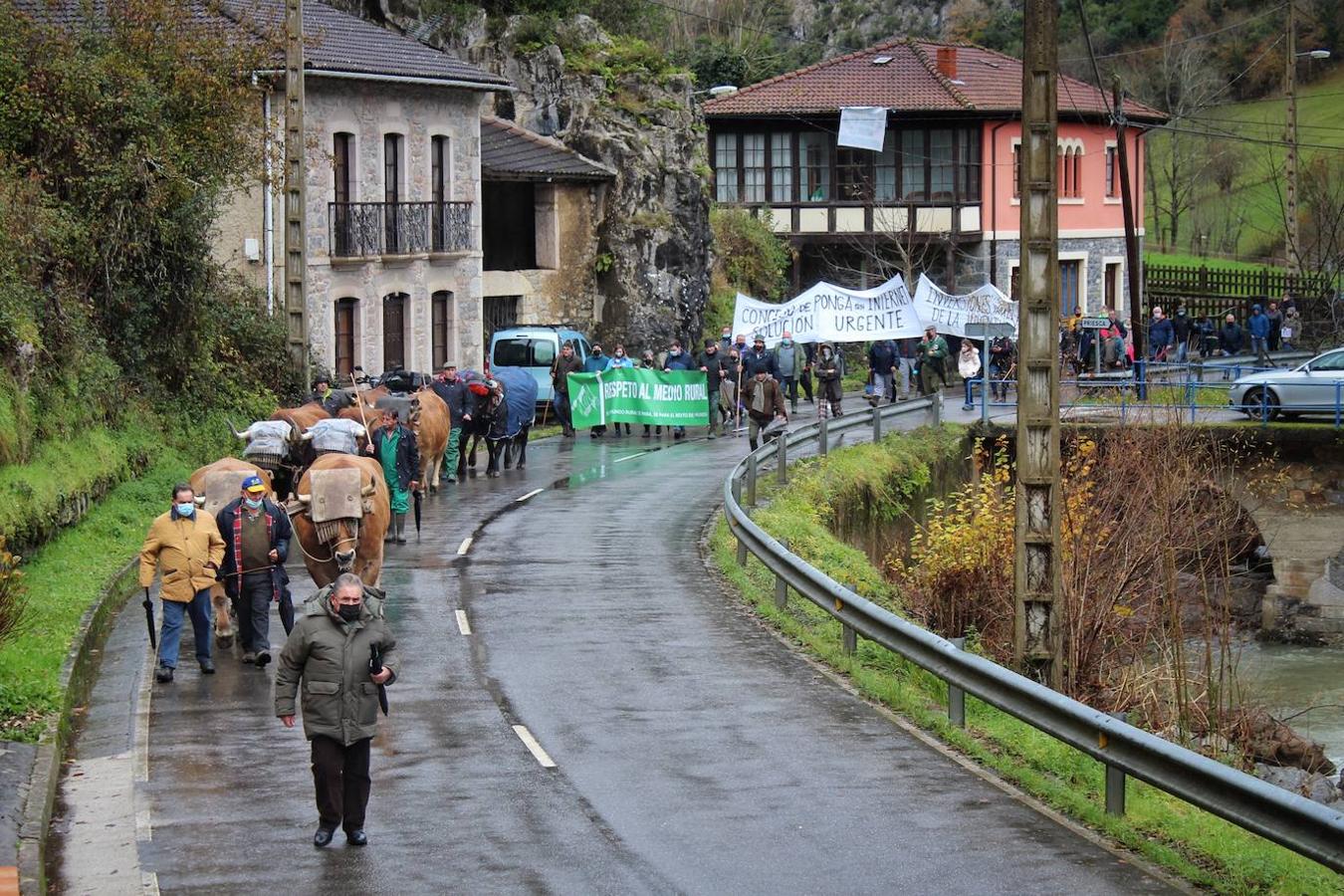 Fotos: Ganaderos y vecinos exigen en Ponga «respeto al medio rural»