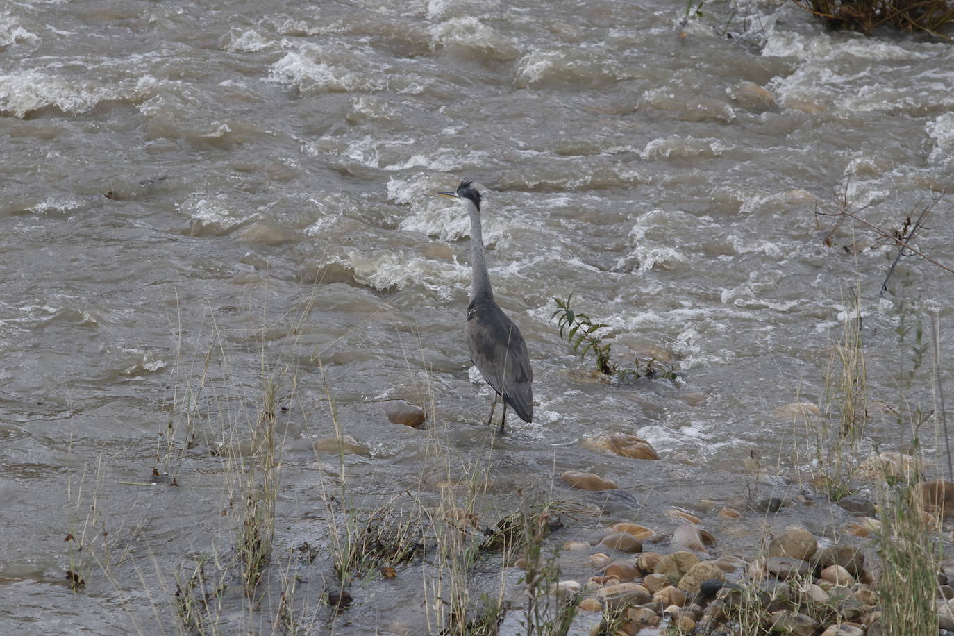 Fotos: Alto caudal en el Nalón, el Trubia y el Nora