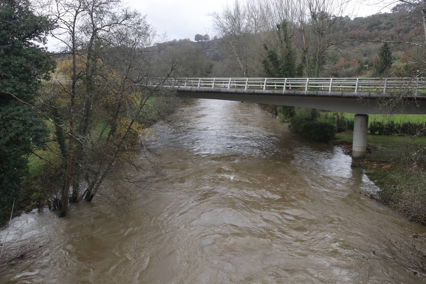 Fotos: Alto caudal en el Nalón, el Trubia y el Nora