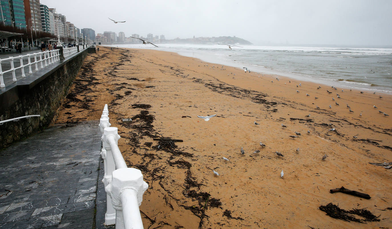 La marea ha llenado la playa gijonesa de San Lorenzo de palos 