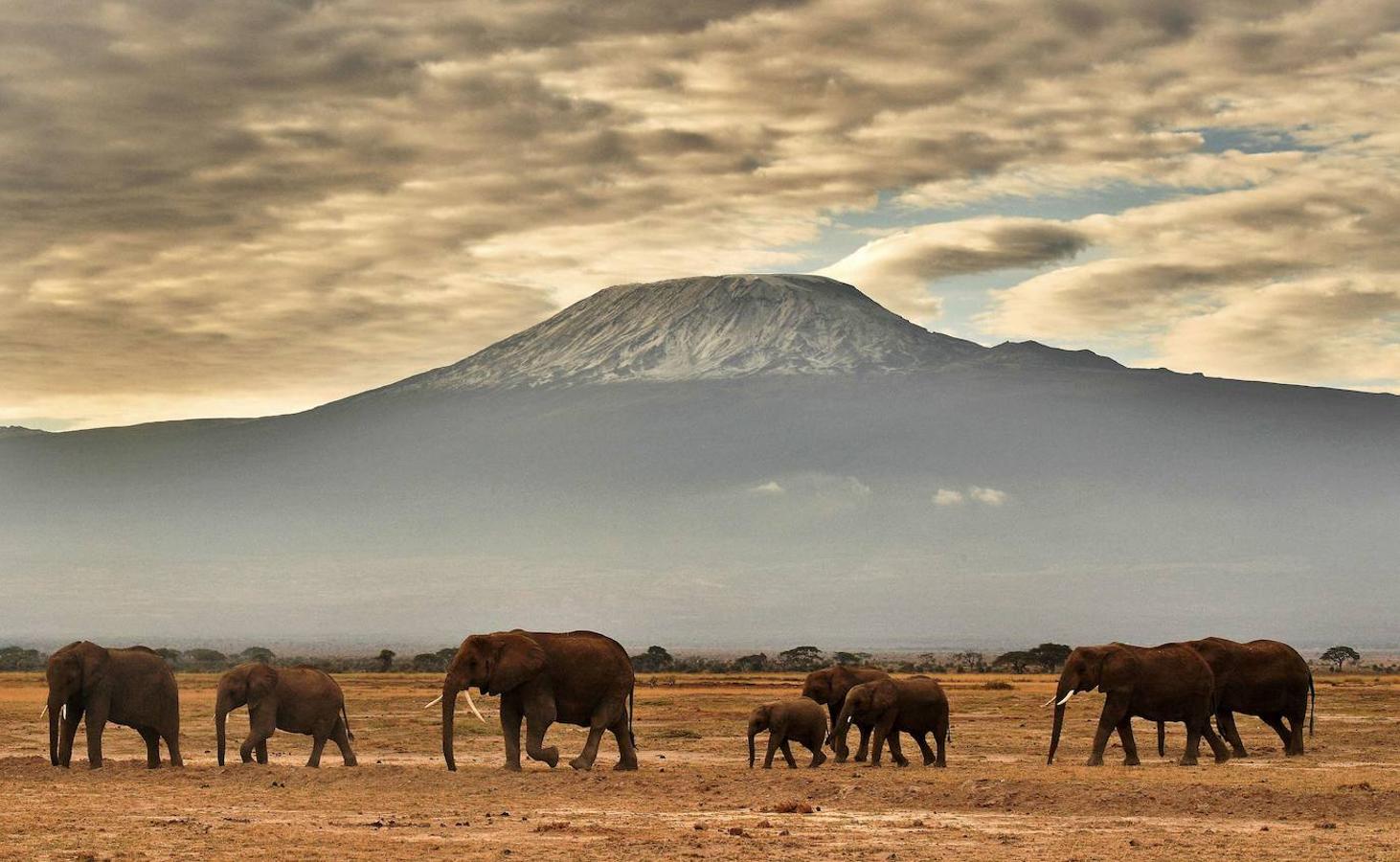 Kilimanjaro (África): El Monte Kilimanjaro, al que también se le conoce como Uhuru Peak, es un volcán de triple cumbre que se ubica en el noreste de la República de Tanzania y a pocos kilómetros de la frontera con Kenia. Con una altitud de 5.895 metros de altura, el Monte Kilimanjaro es la cumbre más alta de todo el continente africano. Su ubicación y clima favorece que en el Kilimanjaro convivan glaciares, desiertos, sabana, paisajes alpinos y selva tropical. Uno de los lugares más emblemáticos de Tanzania y de todo el mundo.