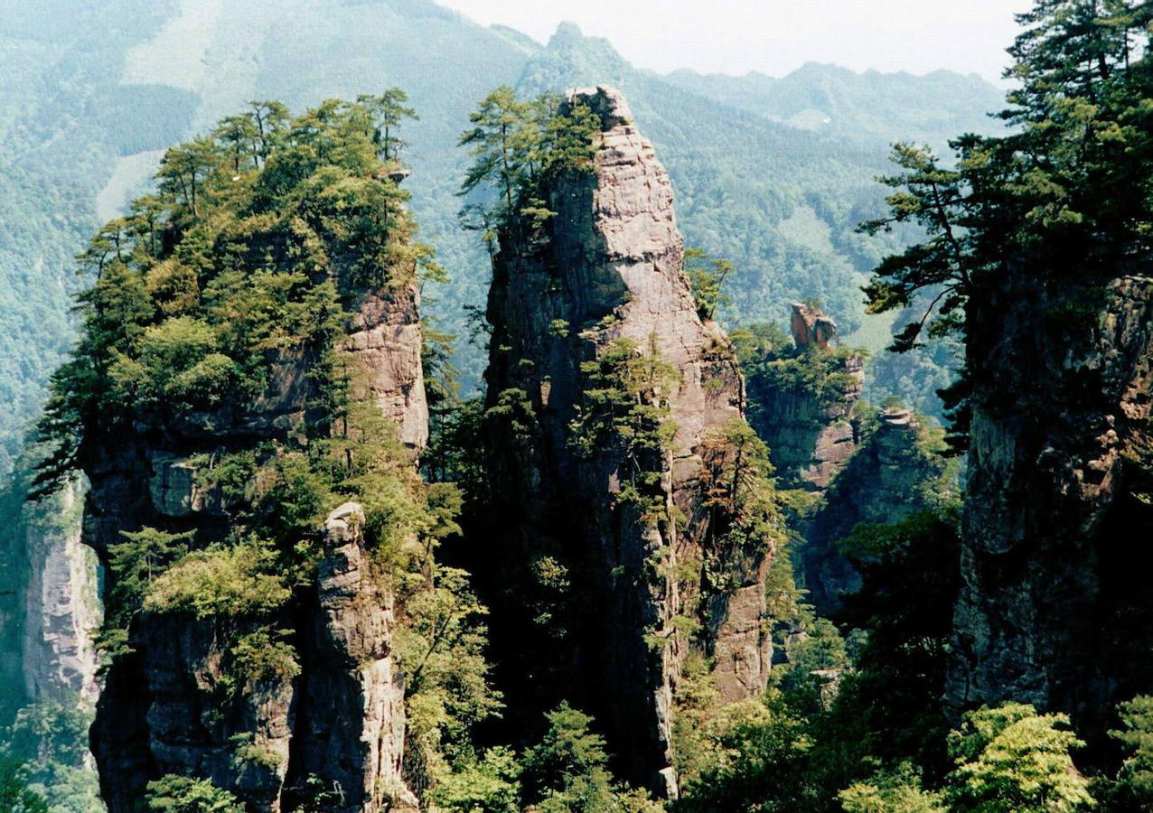 Columnas Zhangjiajie (China): Aunque su nombre pueda parecer desconocido o imposible de pronunciar, lo cierto es que estas llamativas columnas de arenisca rica en cuarzo ubicadas en el Parque forestal nacional Zhangjiajie en China puede que te resulten familiares. Y no solo porque aparecen en numerosas revistas de viajes o en cuentas de Instagram, sino porque inspiraro las montañas flotantes de la famosa película de 'Avatar'.