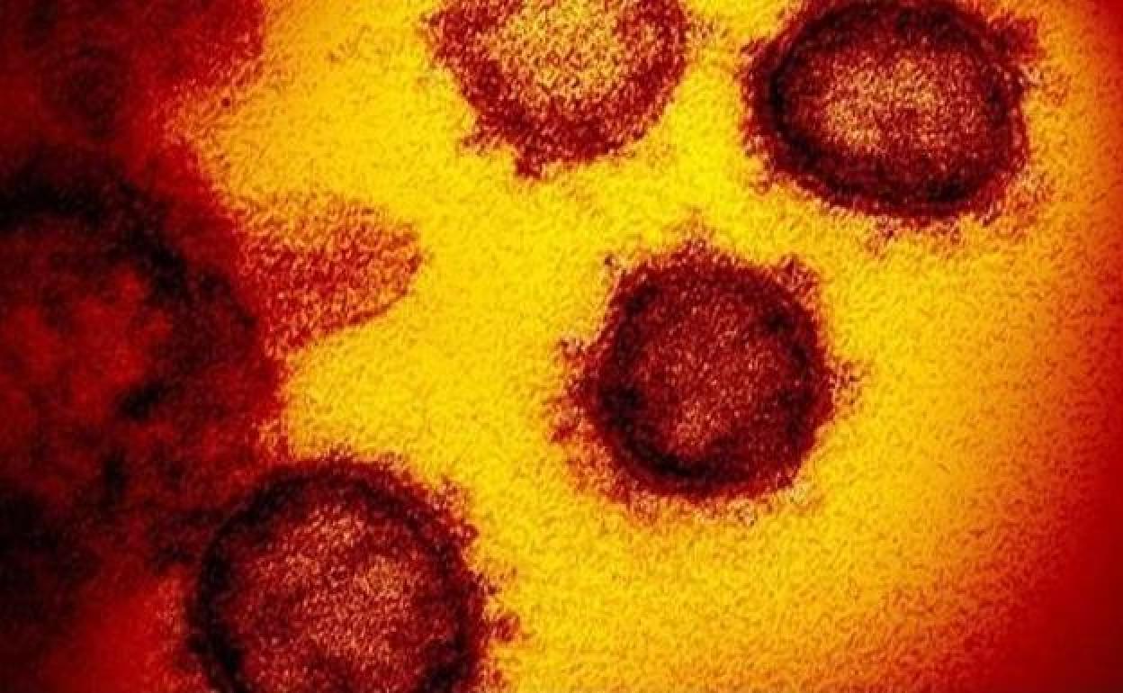 Así es el primer síntoma identificado en los infectados con ómicron