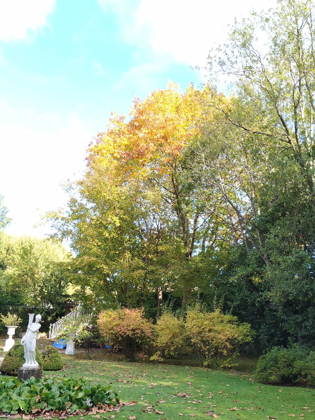 La configuración del jardín se establece a partir de unos enormes e irregulares parterres, impuestos por una red caminera sinuosa de grijo para favorecer el drenaje. Desde la imponente puerta principal se accede a través de un pasillo orlado por bojes donde nos saludan sus dos míticos leones blancos que fueron traídos de un palacio de Cáceres y a sus pies se disponen sendos parterres circulares que se hermosean con flores de temporada.