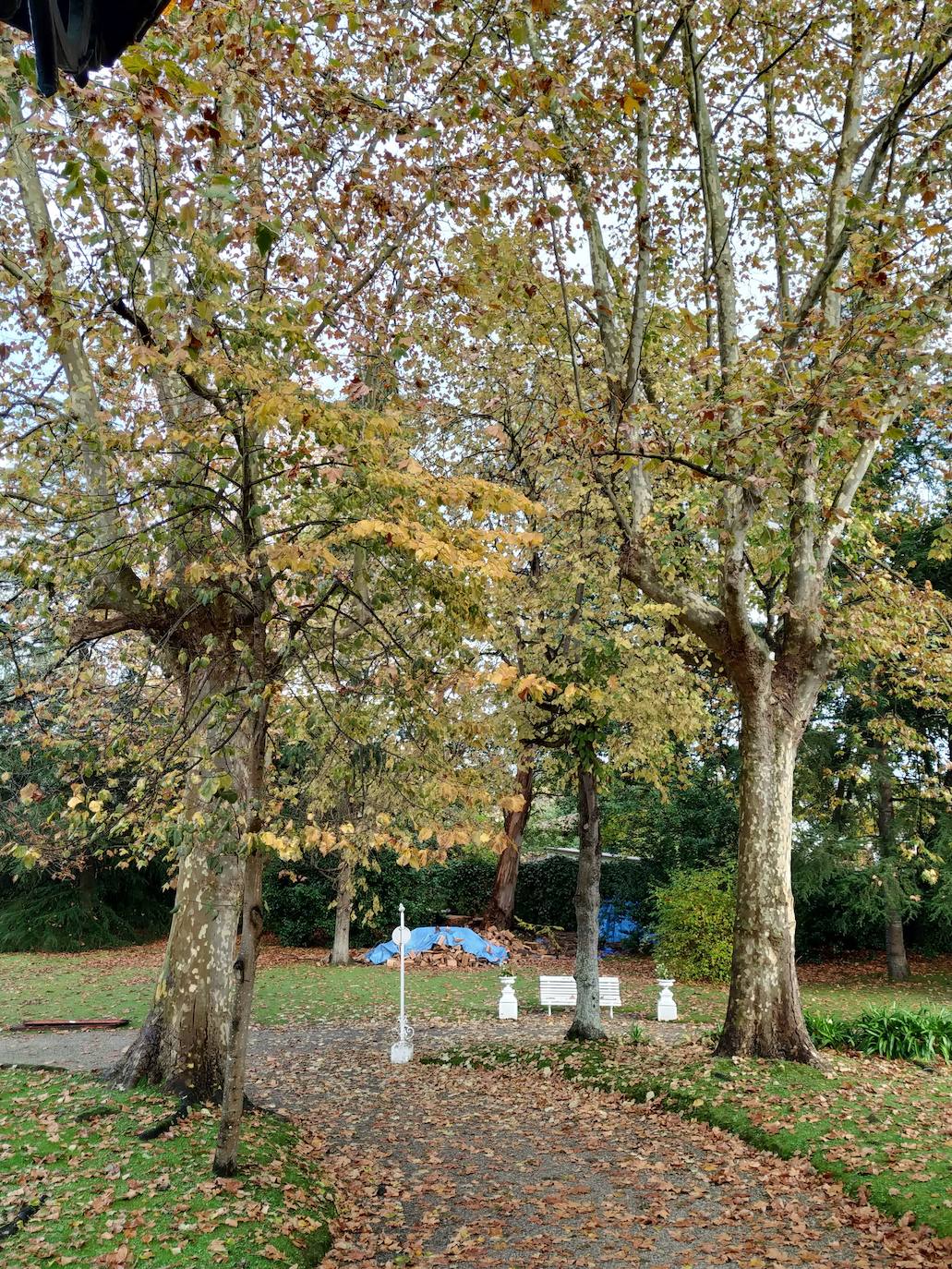 La configuración del jardín se establece a partir de unos enormes e irregulares parterres, impuestos por una red caminera sinuosa de grijo para favorecer el drenaje. Desde la imponente puerta principal se accede a través de un pasillo orlado por bojes donde nos saludan sus dos míticos leones blancos que fueron traídos de un palacio de Cáceres y a sus pies se disponen sendos parterres circulares que se hermosean con flores de temporada.